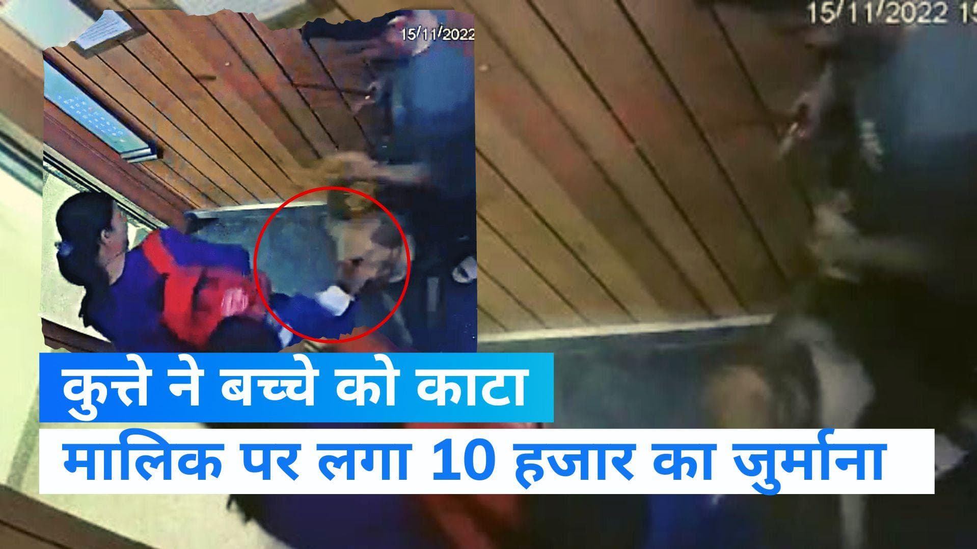 Greater Noida: लिफ्ट में कुत्ते ने बच्चे को काटा, मालिक पर लगा 10 हजार का जुर्माना