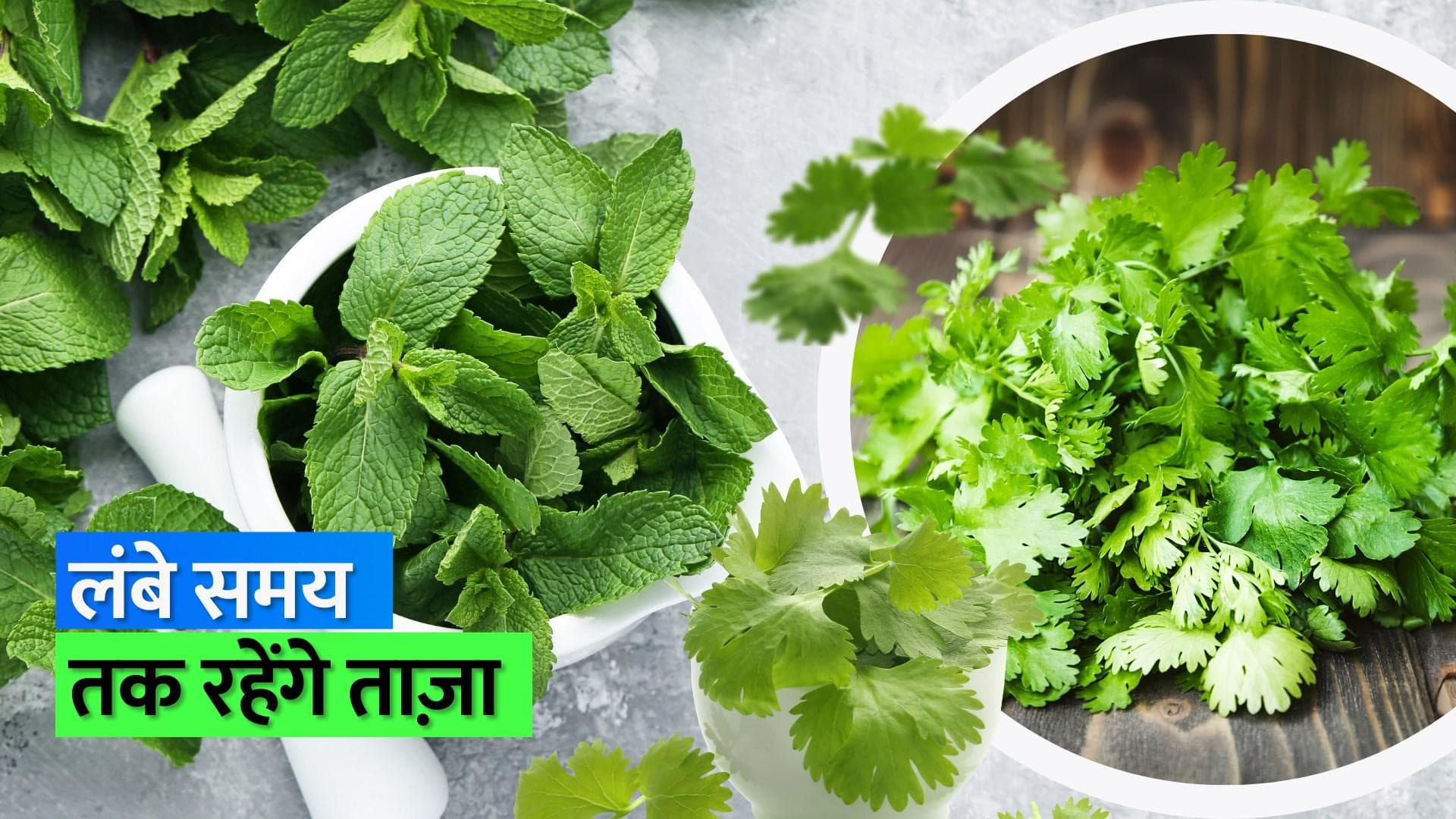 Kitchen Hack: धनिया-पुदीना को लंबे समय तक फ्रेश रखने के लिए काम आएगा ये हैक