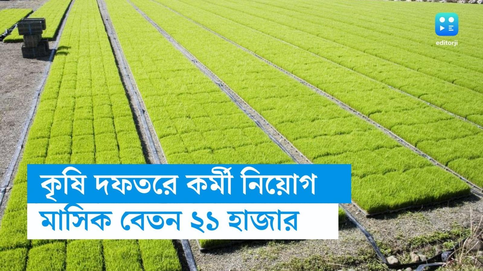 Vacancy News: কৃষি দফতরে কর্মী নিয়োগ করছে রাজ্য, মাসিক বেতন ২১ হাজার টাকা