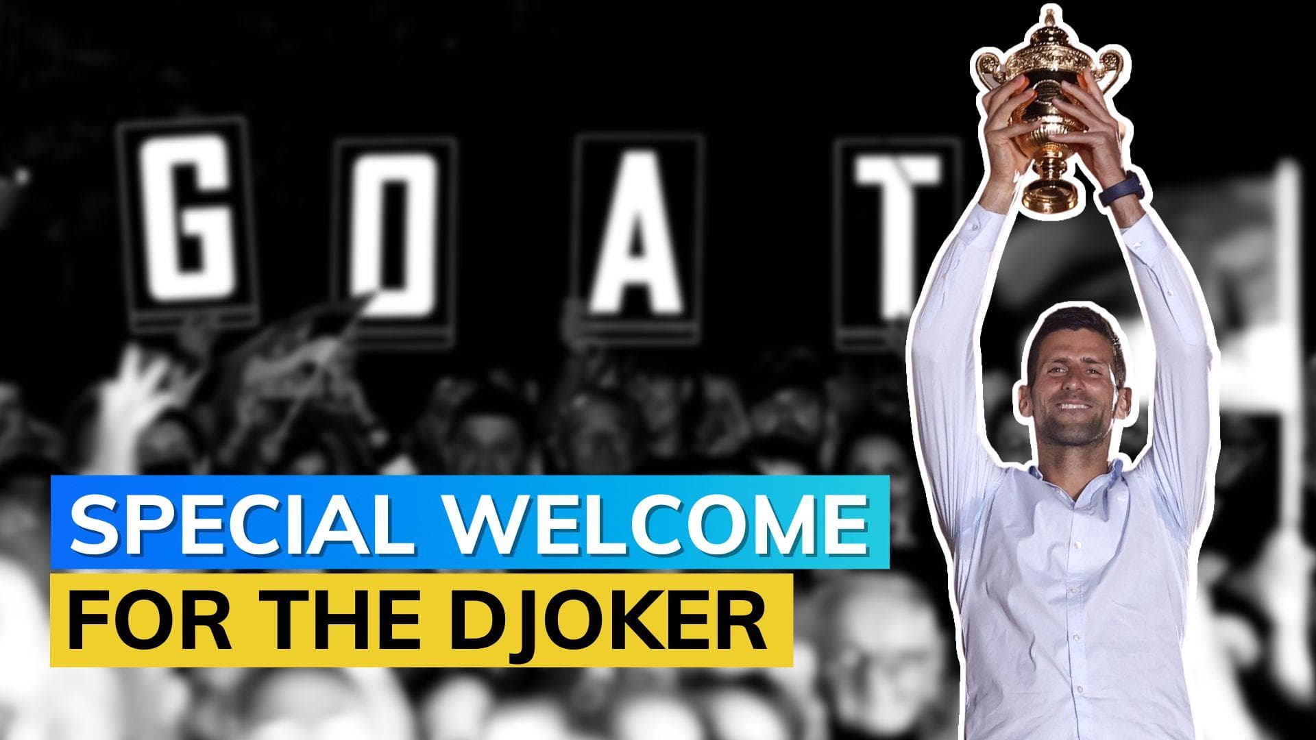 Watch! sea of fans celebrate Wimbledon crown with Novak Djokovic in Belgrade