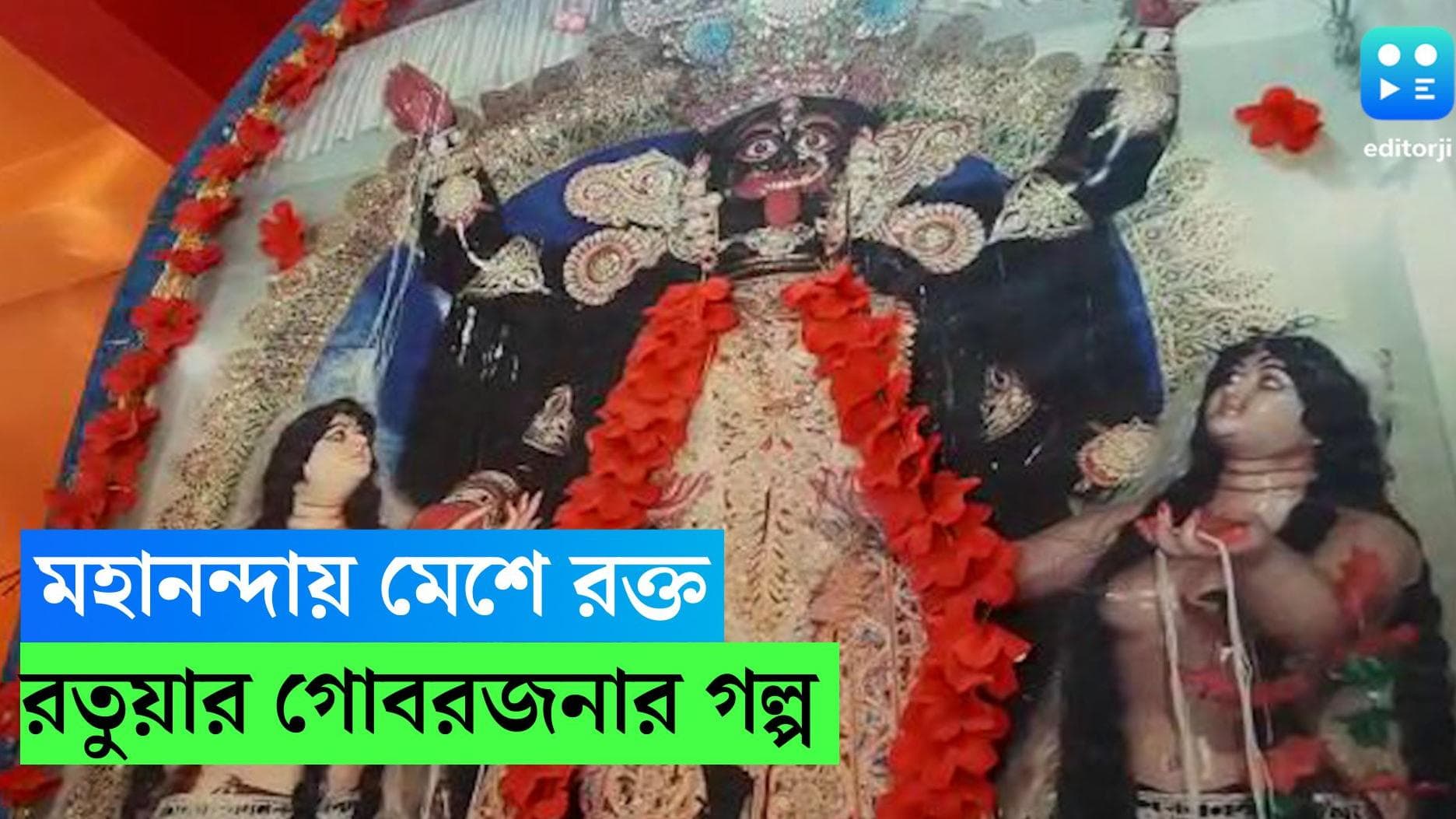 Kali Puja 2022: মন্দিরের বলির রক্ত মেশে মহানন্দায়, মালদার জাগ্রত কালীমন্দিরে প্রাচীন নিয়মেই হয় পুজো