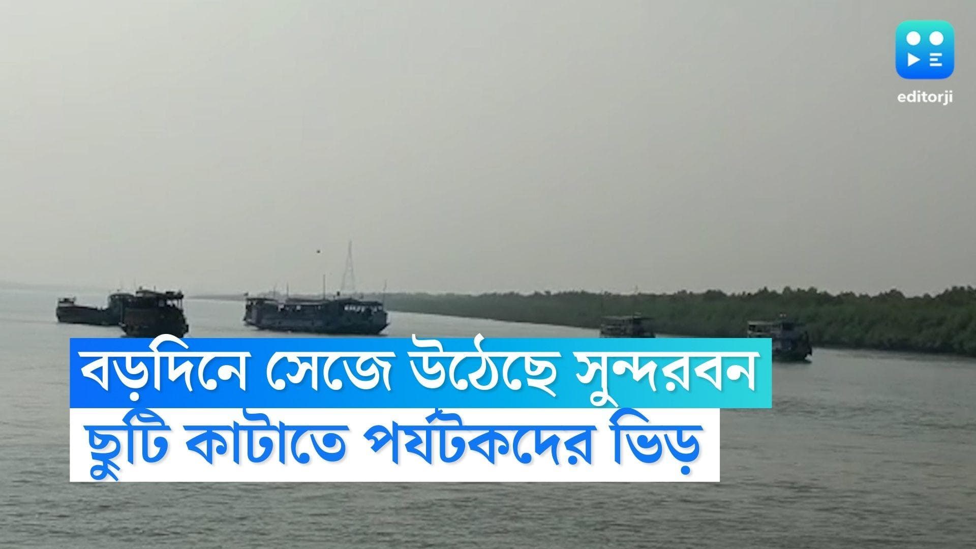 Sundarban Tourism: বড়দিনে সেজে উঠেছে সুন্দরবন, শীতের ছুটিতে বাঘ-হরিণ দেখতে উপচে পড়ছে ভিড়