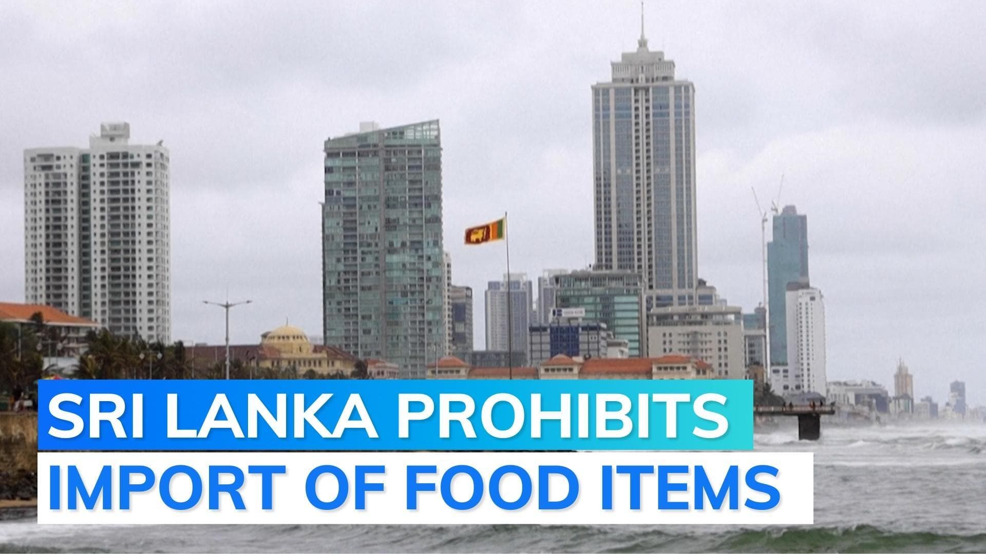  Sri Lanka bans import of 300 items of consumer goods to stabilise economy