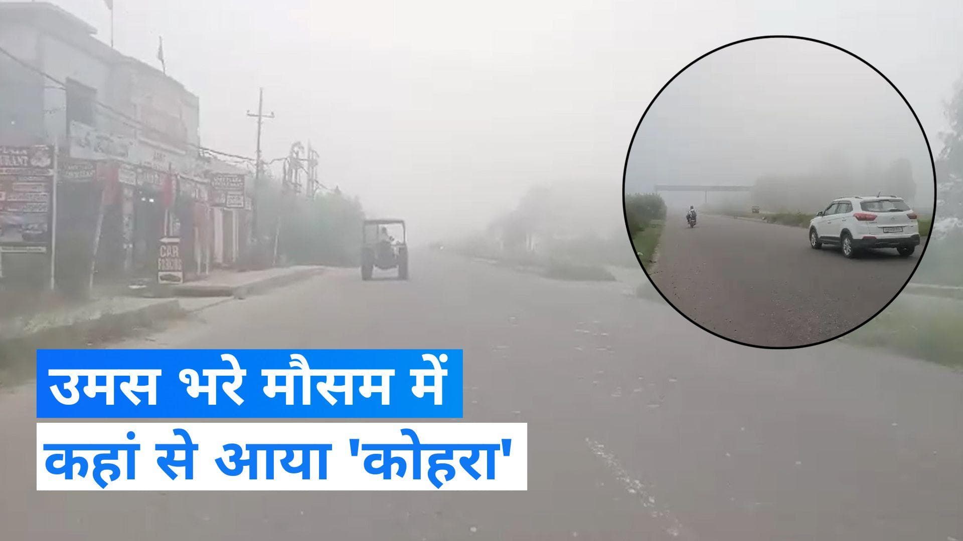Weather Update: उमस भरे मौसम में जालंधर में दिखा घना कोहरा, देखें वीडियो