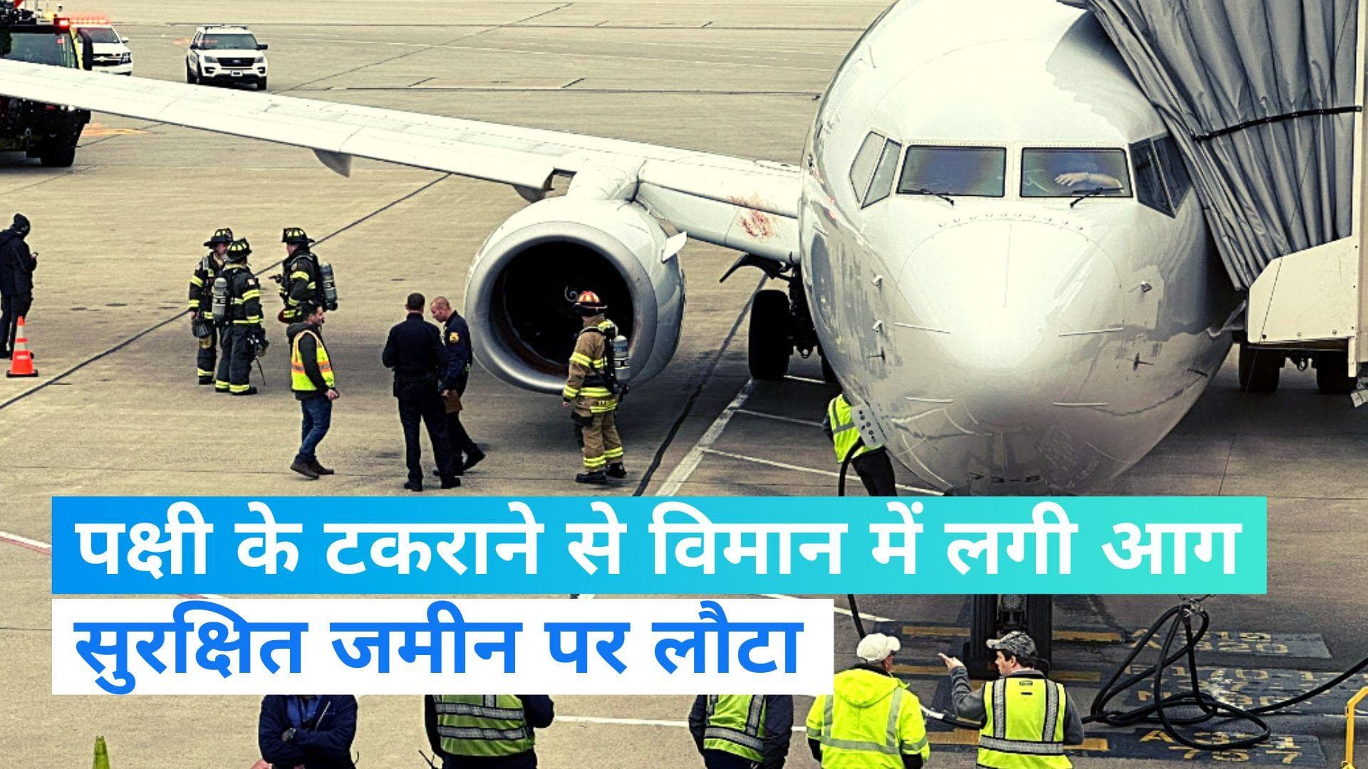 USA News: अमेरिका में पक्षी के टकराने से विमान में लगी आग, सुरक्षित जमीन पर लौटा ‘अमेरिकन एयरलाइंस’