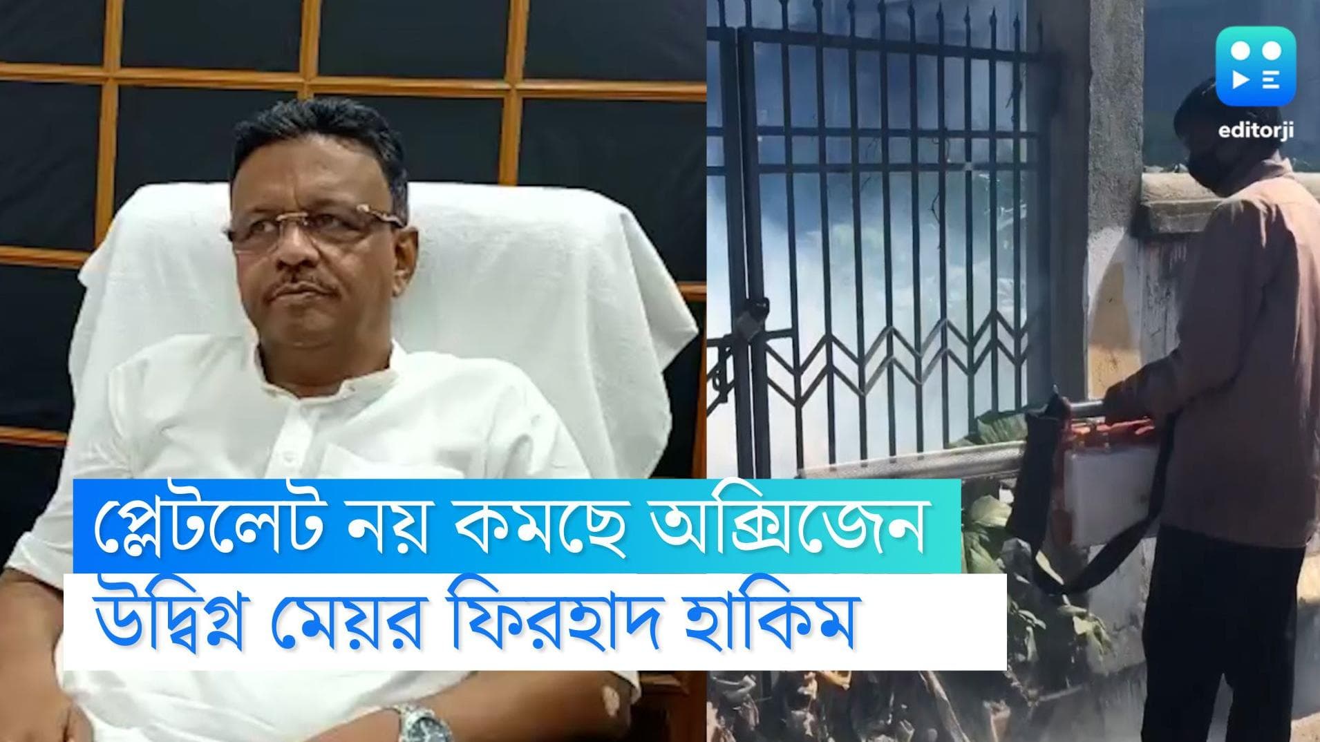 Dengue in West Bengal: প্লেটলেট নয় কমছে অক্সিজেন, ডেঙ্গির নয়া স্ট্রেন নিয়ে উদ্বিগ্ন মেয়র ফিরহাদ হাকিম