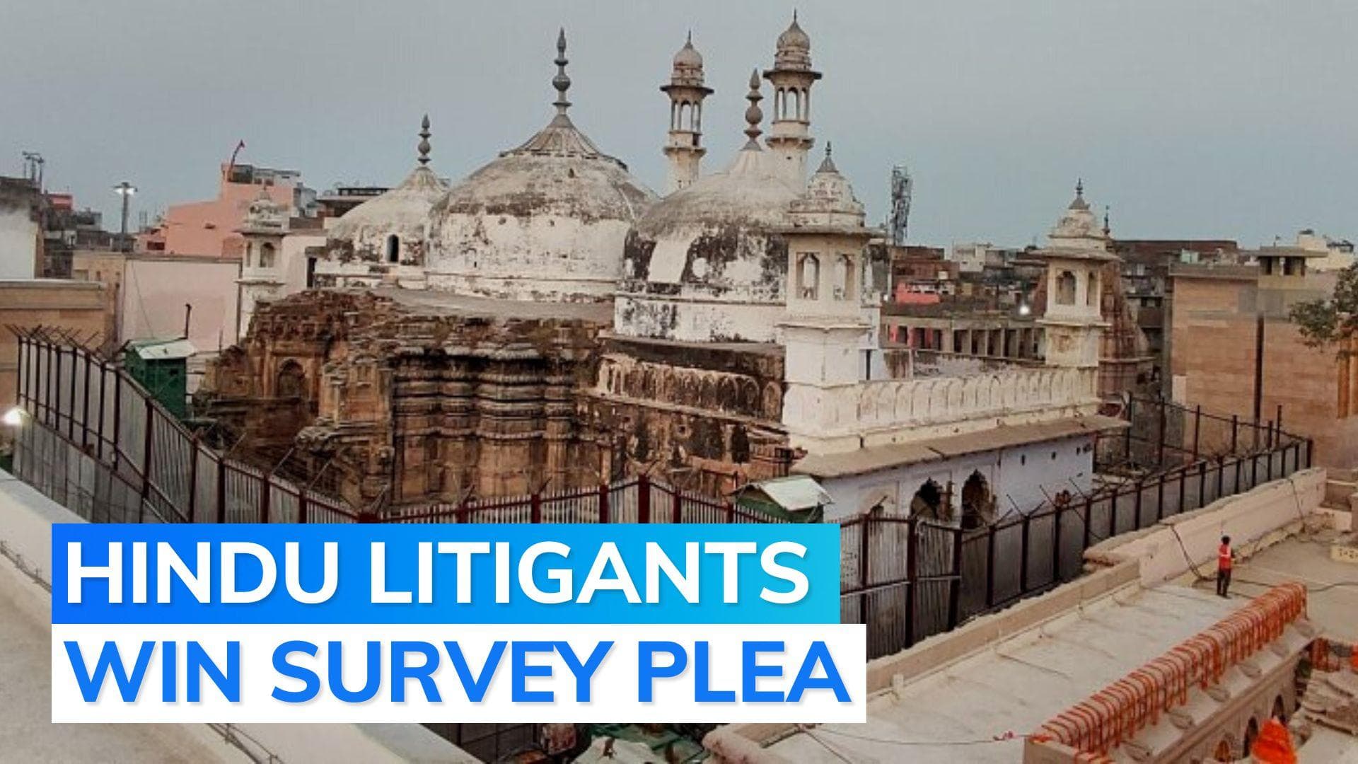 Gyanvapi mosque: Varanasi court orders survey, contentious spot exempted