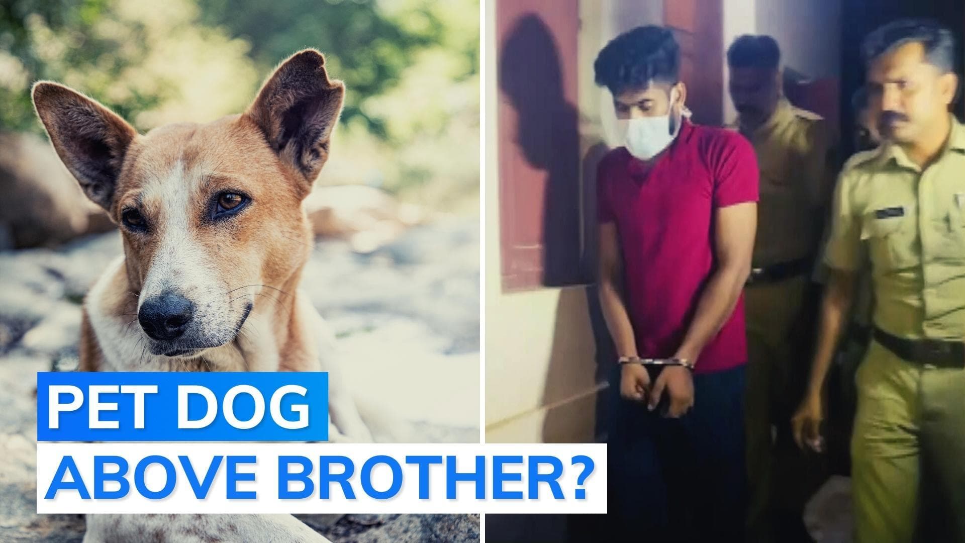 21-year-old beaten to death by cousin over delay in feeding latter's pet dog 