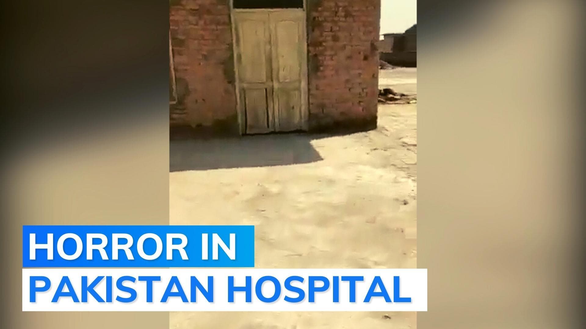 Shocking: 'abandoned and decayed' bodies found on hospital roof in Pakistan, probe ordered