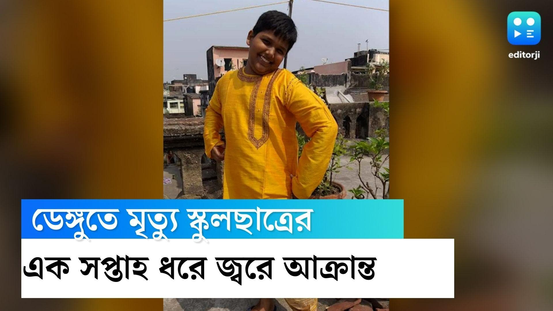 Dengue Death in Kolkata: কলকাতা পুরএলাকায় ডেঙ্গিতে মৃত্যু স্কুলছাত্রের 