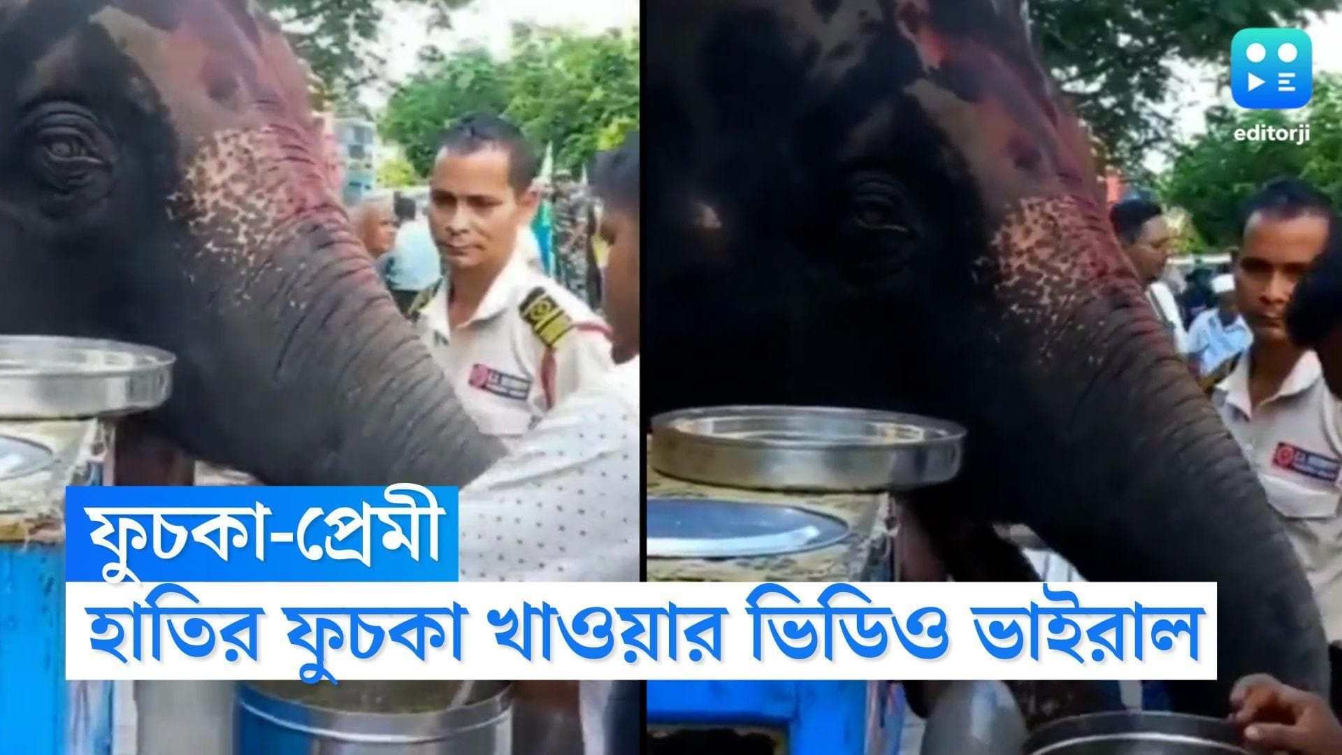 Elephant Viral Video : হাতির ফুচকা প্রেম, দেখেছেন কখনও ? ভিডিও ভাইরাল