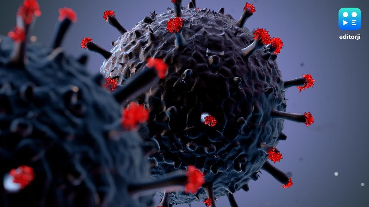 New Corona Guidelines: सरकार ने कहा- ऑनलाइन शॉपिंग करें, यात्रा करने से बचें