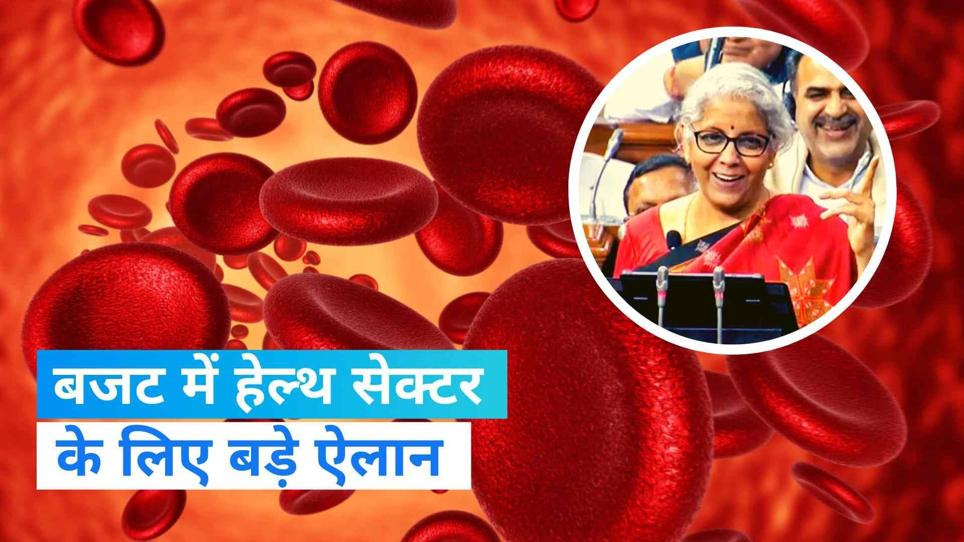 Budget 2023: हेल्थ सेक्टर में बड़ा ऐलान, साल 2047 तक किस बीमारी से देश को दिलाएंगे छुटकारा?