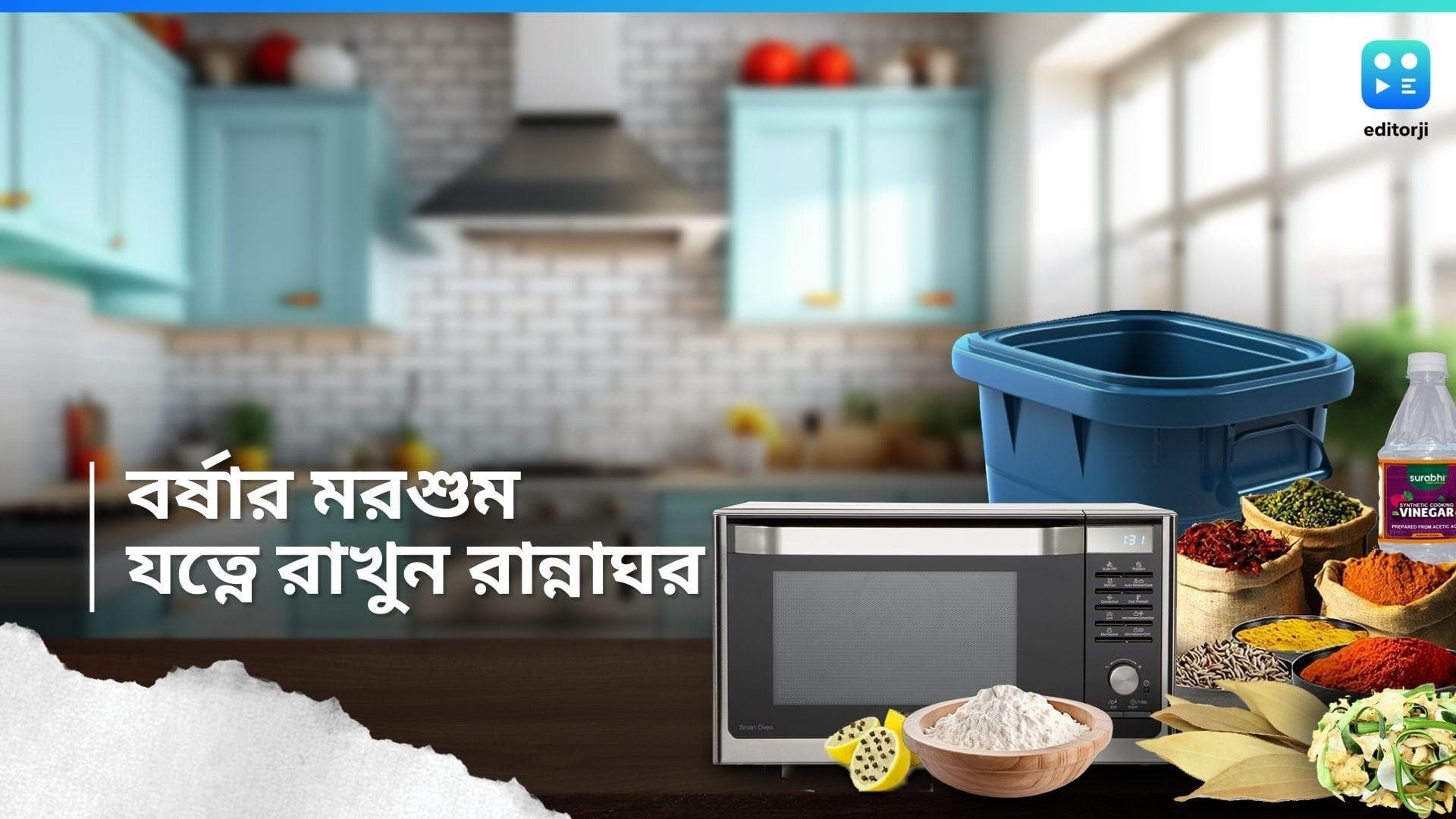 Monsoon Kitchen Tips: বর্ষা ঢুকেছে বঙ্গে, মশা,মাছি, আরশোলার উপদ্রব থেকে বাঁচতে রান্নাঘরের যত্ন নিন এভাবে