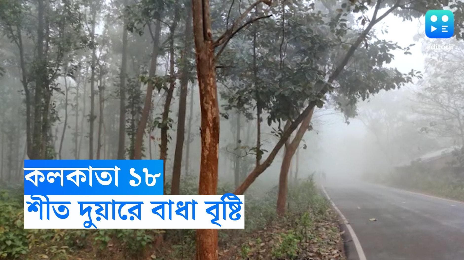 West Bengal Weather Update : কলকাতা ১৮, রাজ্যে পারার পতনের অন্তরায় সেই নিম্নচাপ