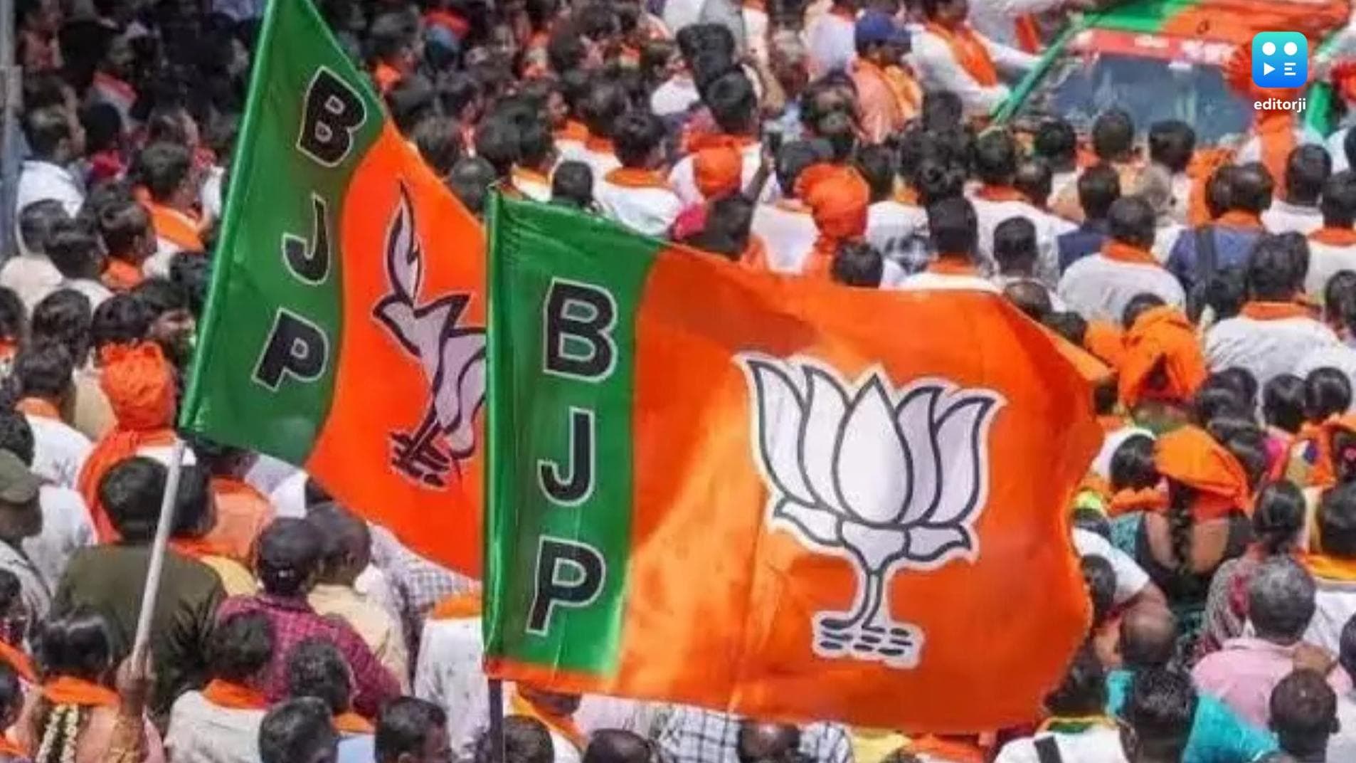 BJP unveils second part of manifesto for Delhi Assembly Elections 2025