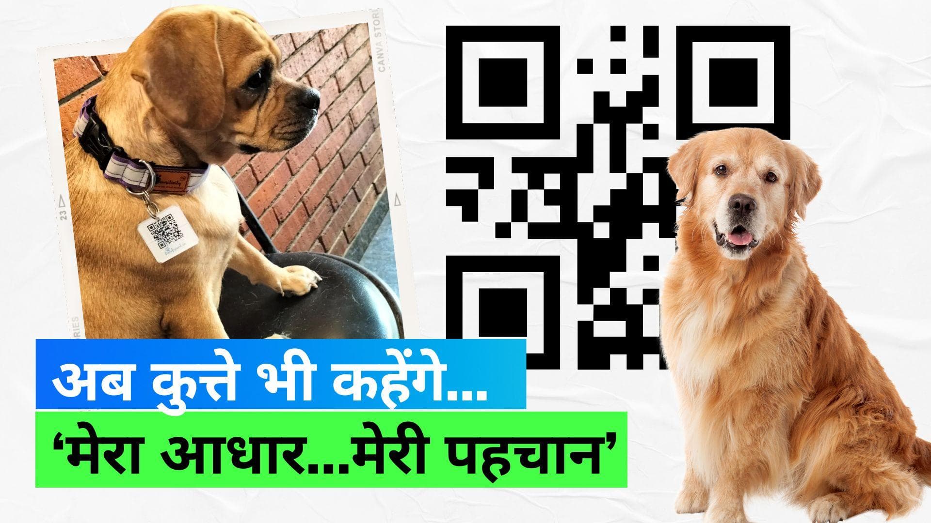 Dogs Get Aadhar Card: अब QR कोड स्कैन करने पर मिल सकेगी कुत्ते की पूरी जानकारी