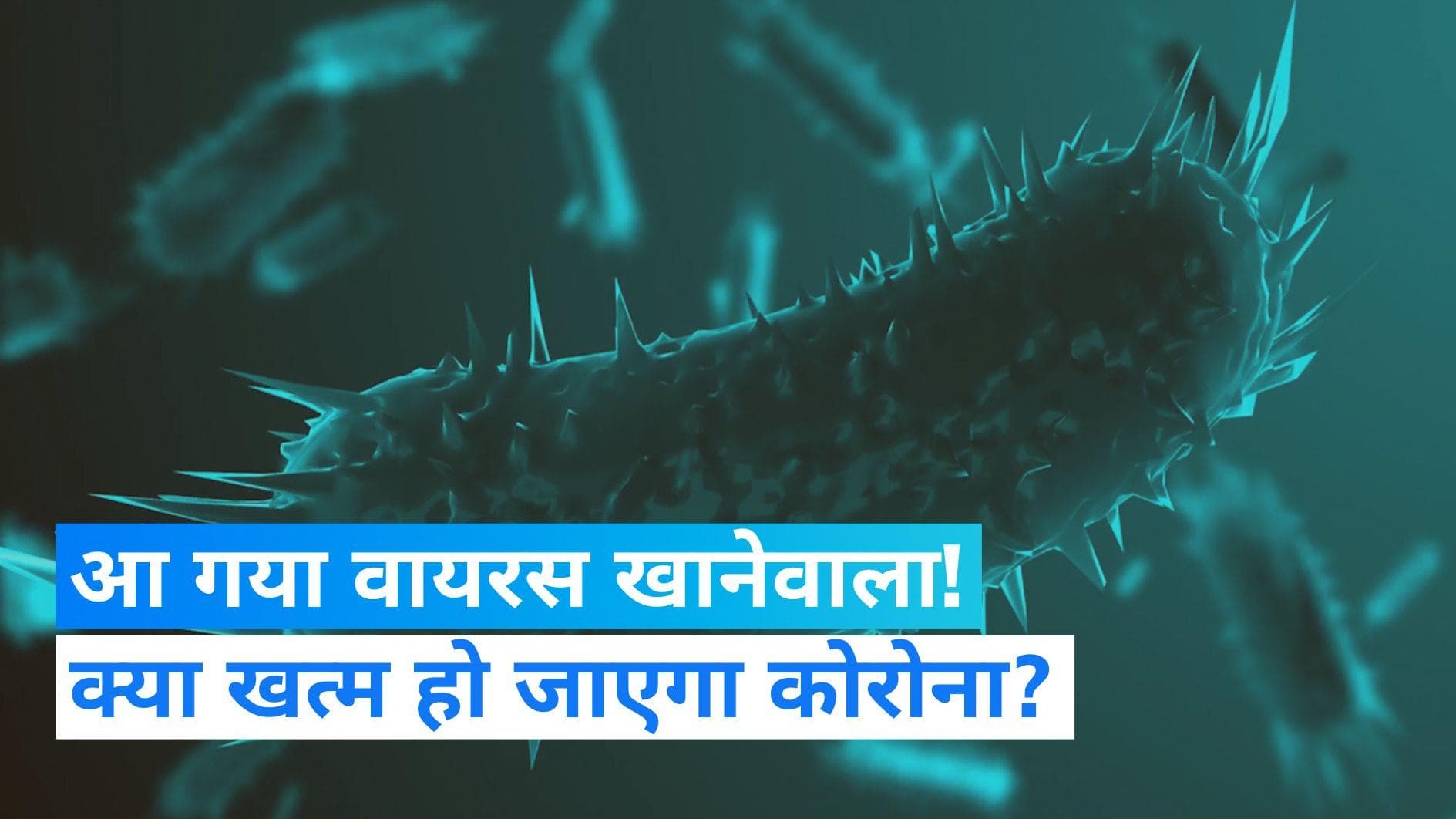Halteria Microorganism: अब वायरस खानेवाले जीव की हुई खोज, वायरल बीमारियों से मिलेगा छुटकारा!