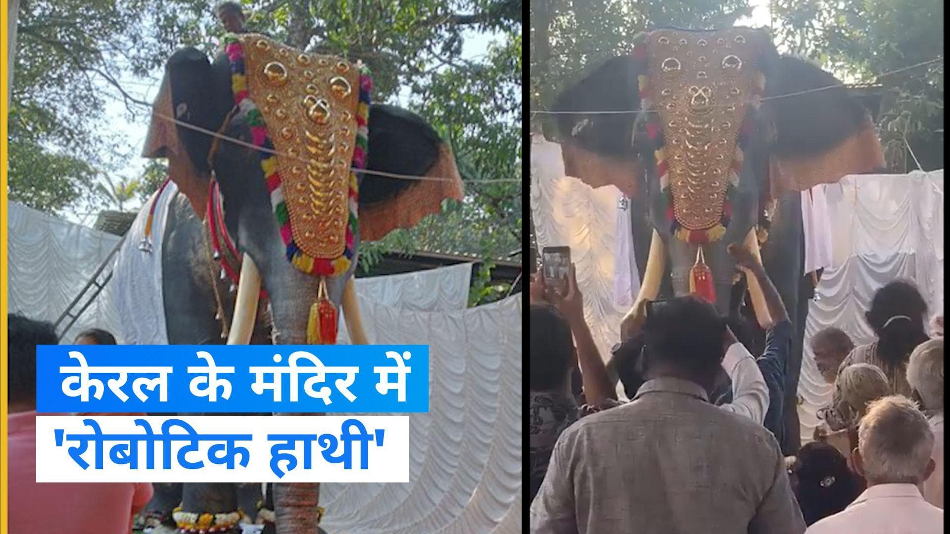 Kerala Robotic Elephant: केरल के मंदिर में हाथी की जगह 'रोबोट' करेंगे धार्मिक अनुष्ठान!