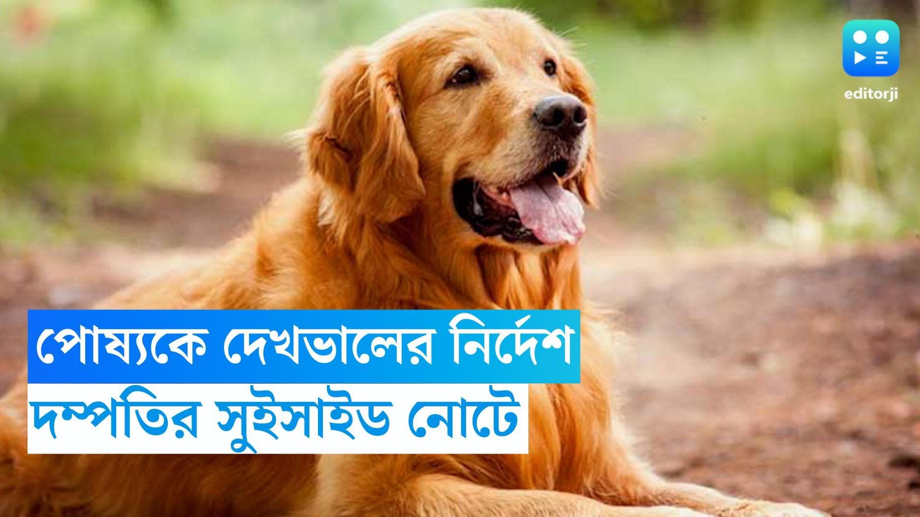 Ghatal News : 'প্রিয় জ্যাংগো যেন ভাল থাকে', ঘাটালের দম্পতির দেহের সঙ্গে উদ্ধার পোষ্যকে দেখভালের নোট