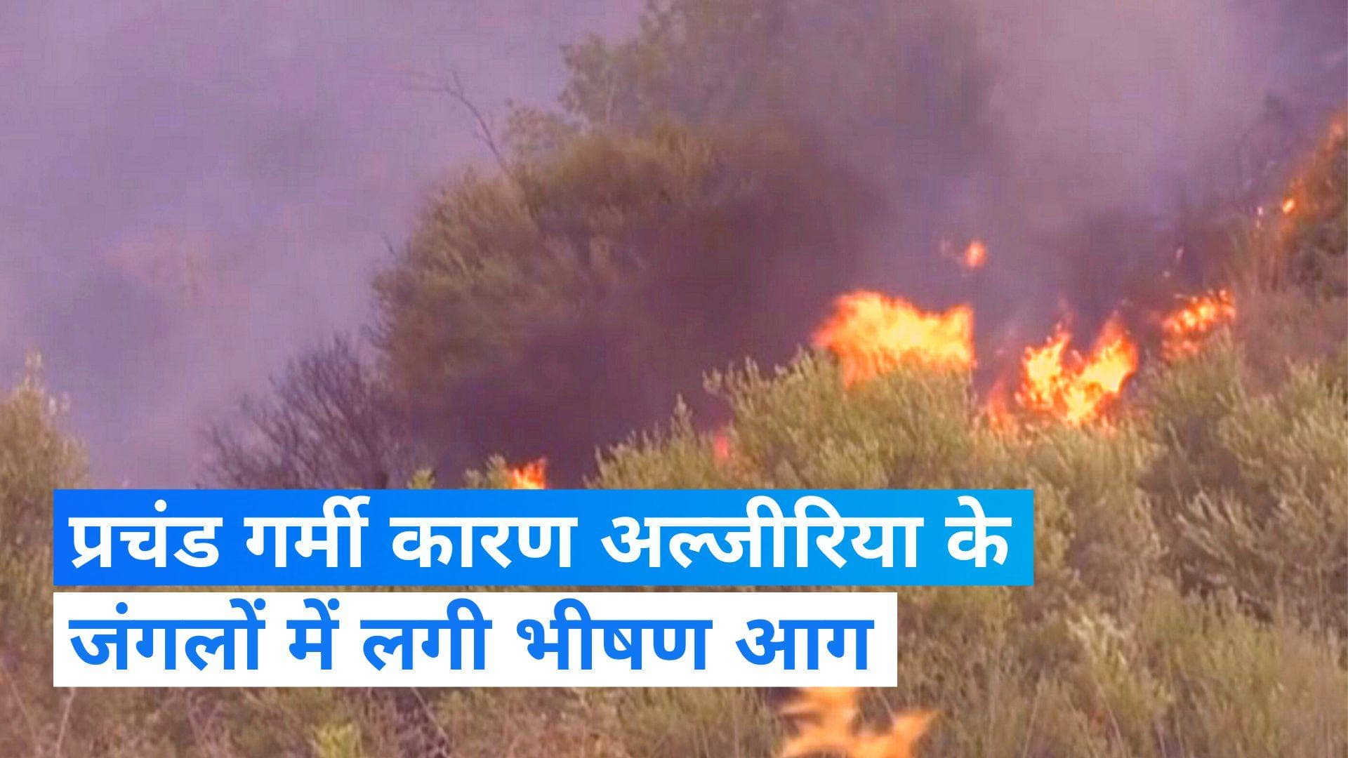 Algeria News: अल्जीरिया के जंगलों में भीषण आग, अबतक 25 लोगों की मौत और कई घायल