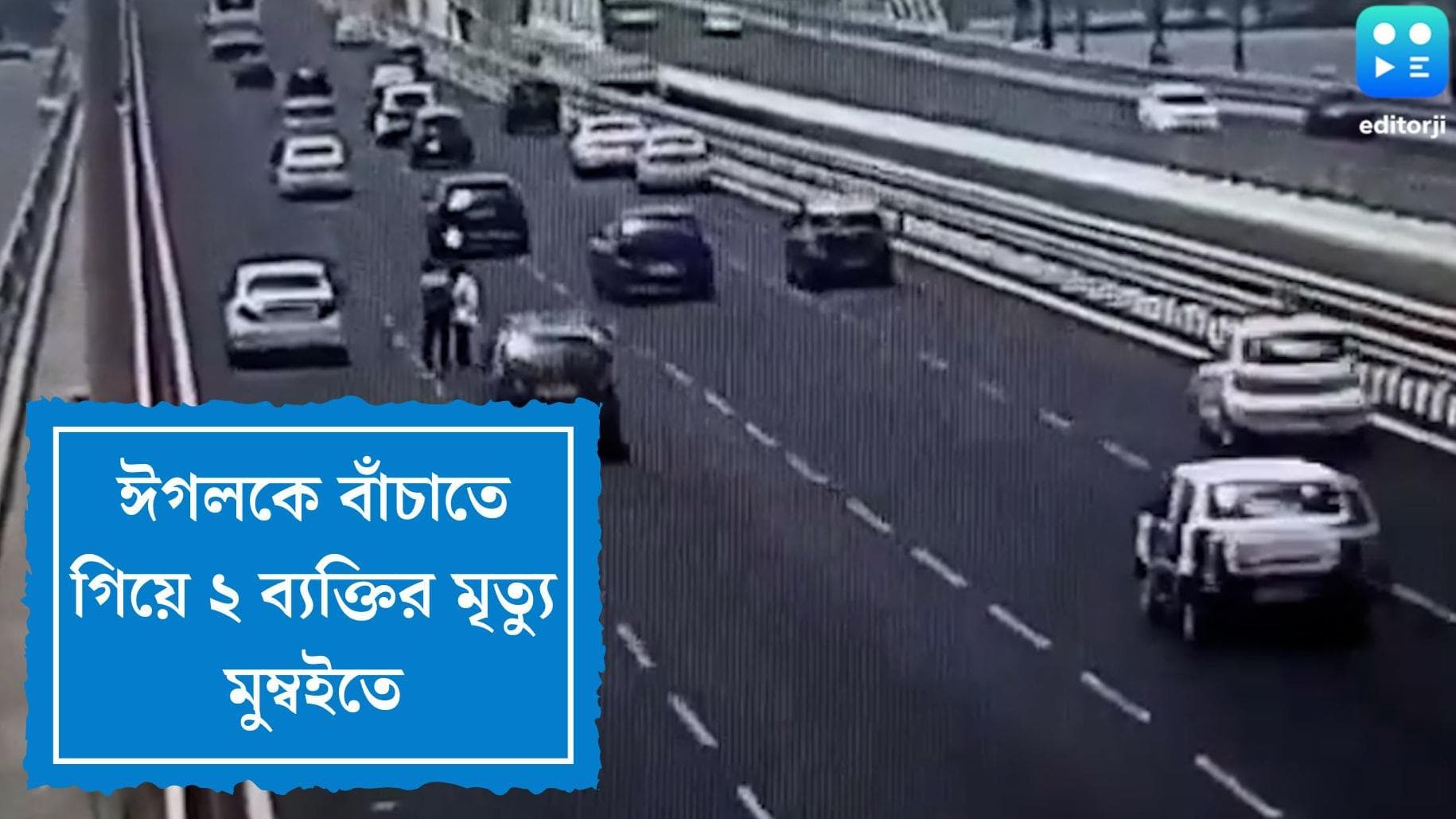 Viral video in Mumbai: দেখুন, কীভাবে ঈগলকে বাঁচাতে গিয়ে প্রাণ দিতে হল মুম্বইয়ের ২ জন বাসিন্দাকে