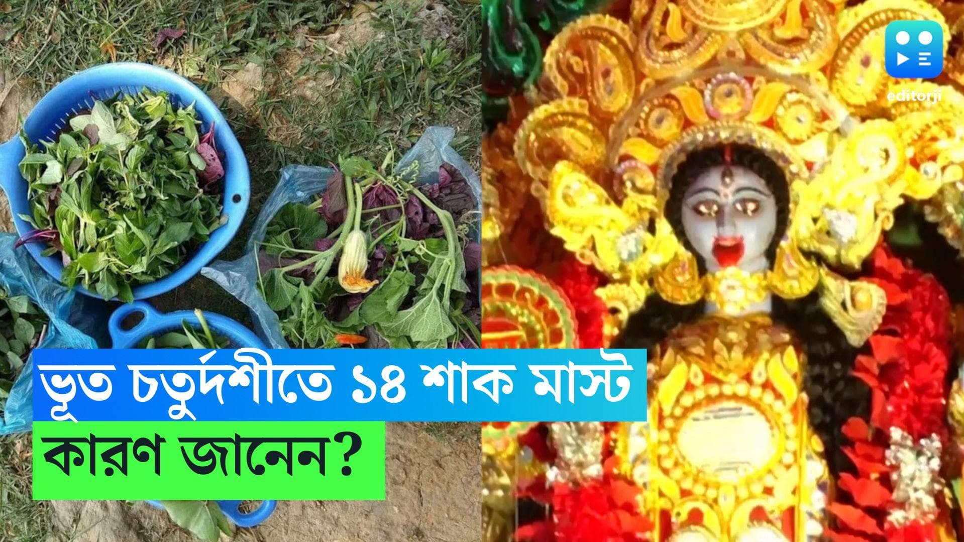  Bhoot Chaturdashi 2023 : কালীপুজোর আগের দিন ১৪ শাক খাওয়ার নিয়ম ? জানেন সবগুলোর নাম ?  রইল তাৎপর্য