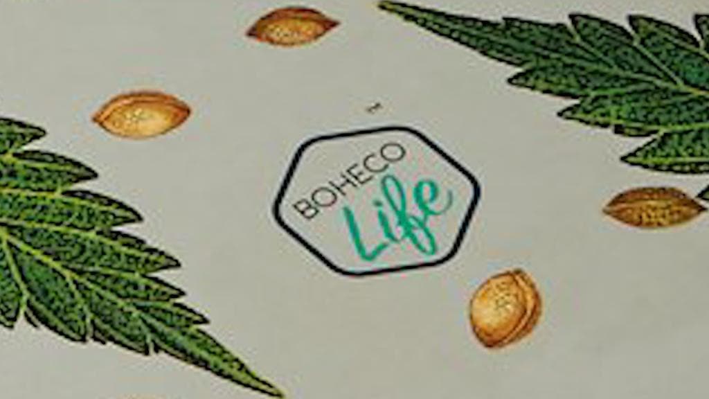 Ratan Tata-backed cannabis startup Bombay Hemp raises $2 million