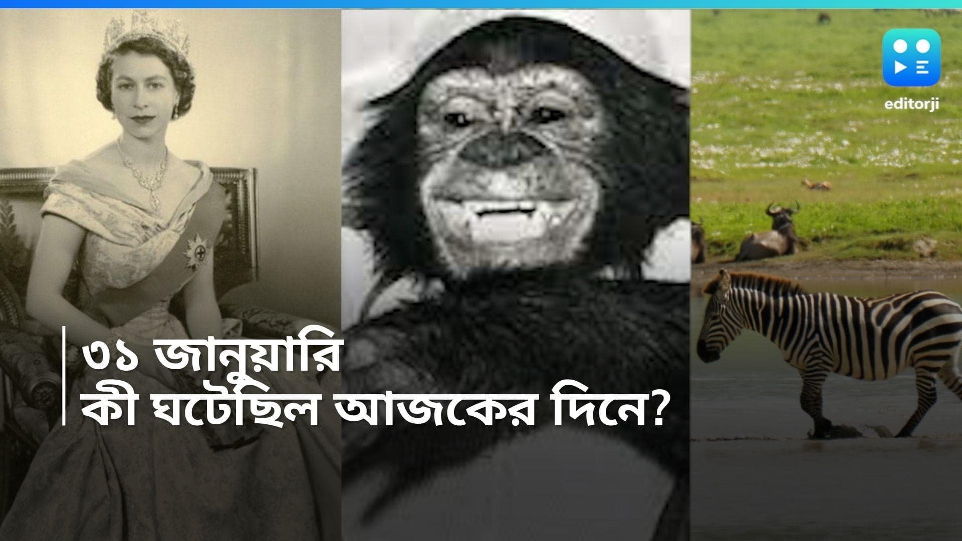 On This Day in History 31 Jan: ইতিহাসের পাতায় ৩১ জানুয়ারি, কী কী হয়েছিল জানেন? 