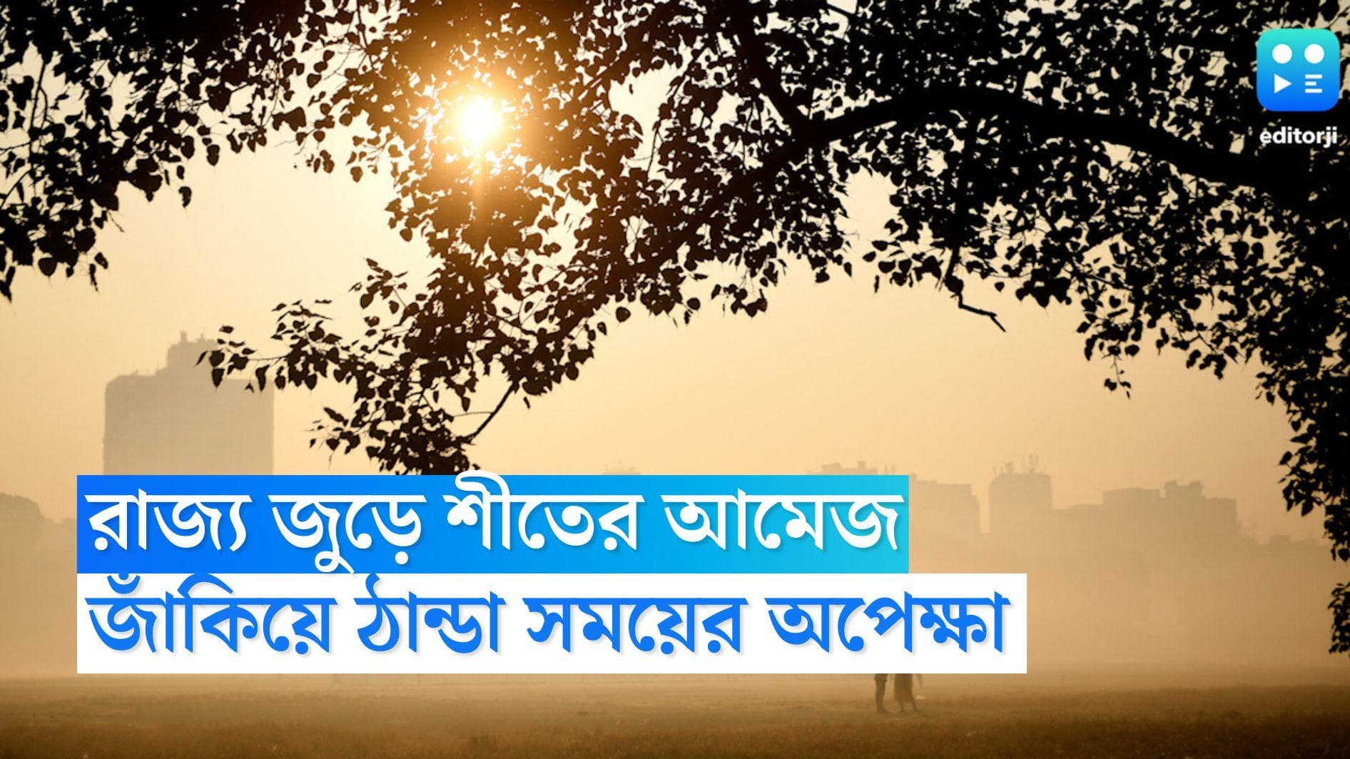 West Bengal Weather Update: সকাল থেকেই রাজ্য জুড়ে শীতের আমেজ, জাঁকিয়ে ঠান্ডা এখন শুধু সময়ের অপেক্ষা