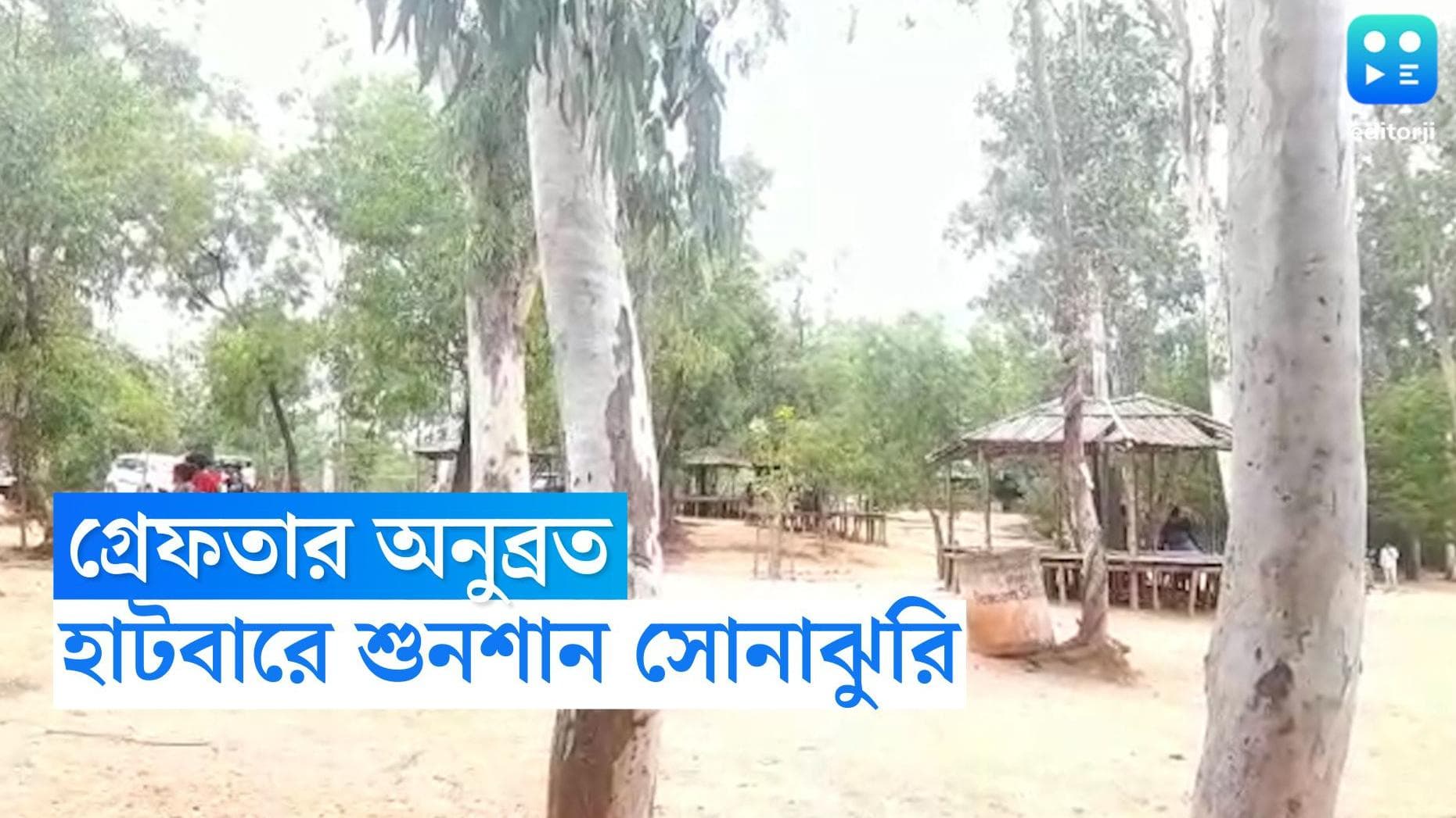 Sonajhuri Haat Closed : গ্রেফতার অনুব্রত, প্রতিবাদে বন্ধ সোনাঝুরির হাট, ফিরে গেলেন পর্যটকরা