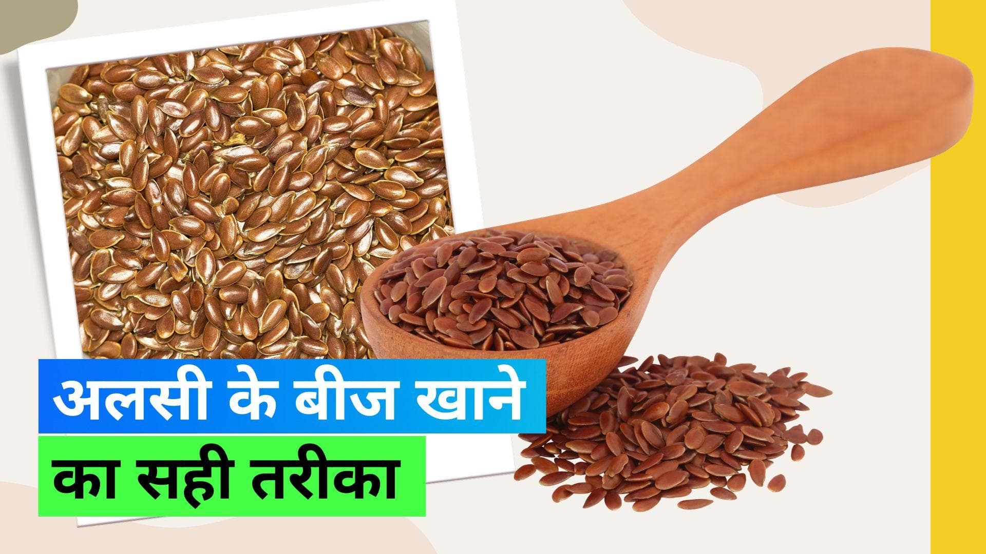 Flax Seeds: अलसी के बीजों में होते हैं कई हेल्थ बेनिफिट्स, जानिए क्या है इन्हें खाने का सही तरीका
