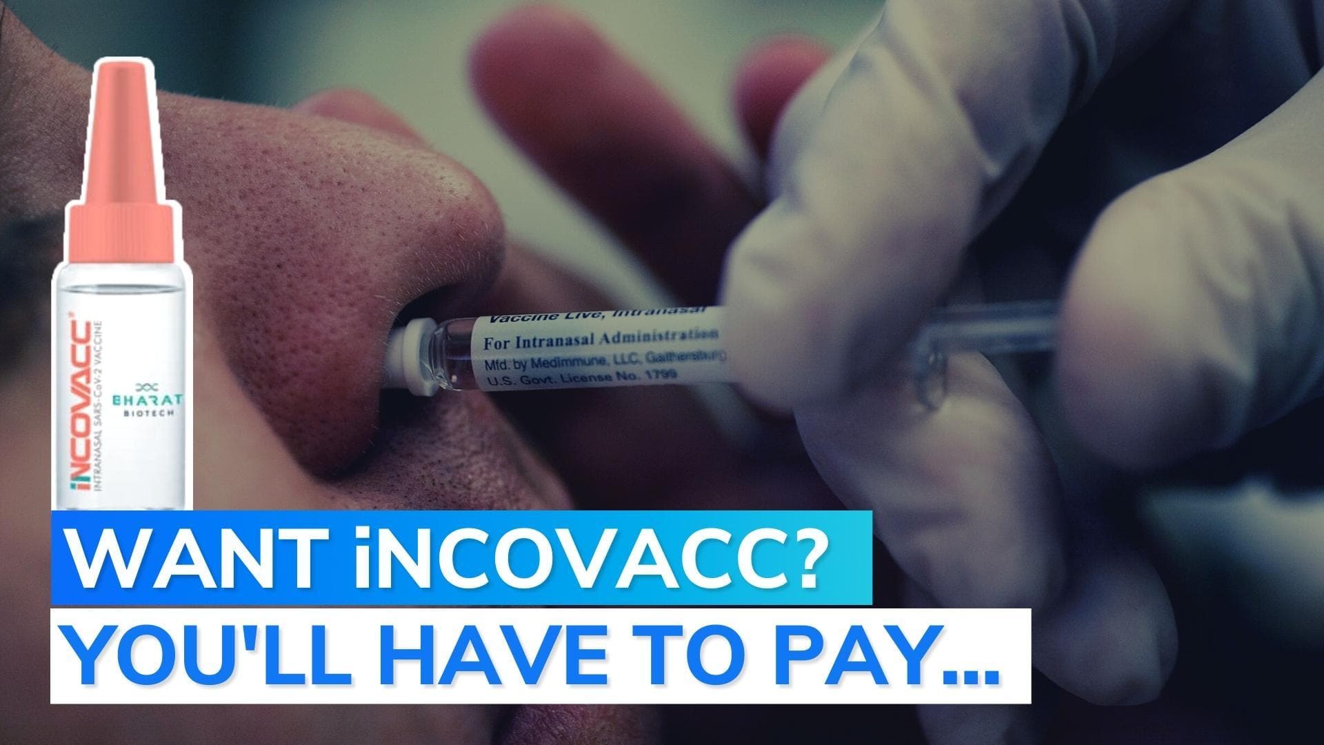 India nasal vaccine price: ₹800 at private, ₹325 in govt hospitals, GST extra for Bharat Biotech iNCOVACC