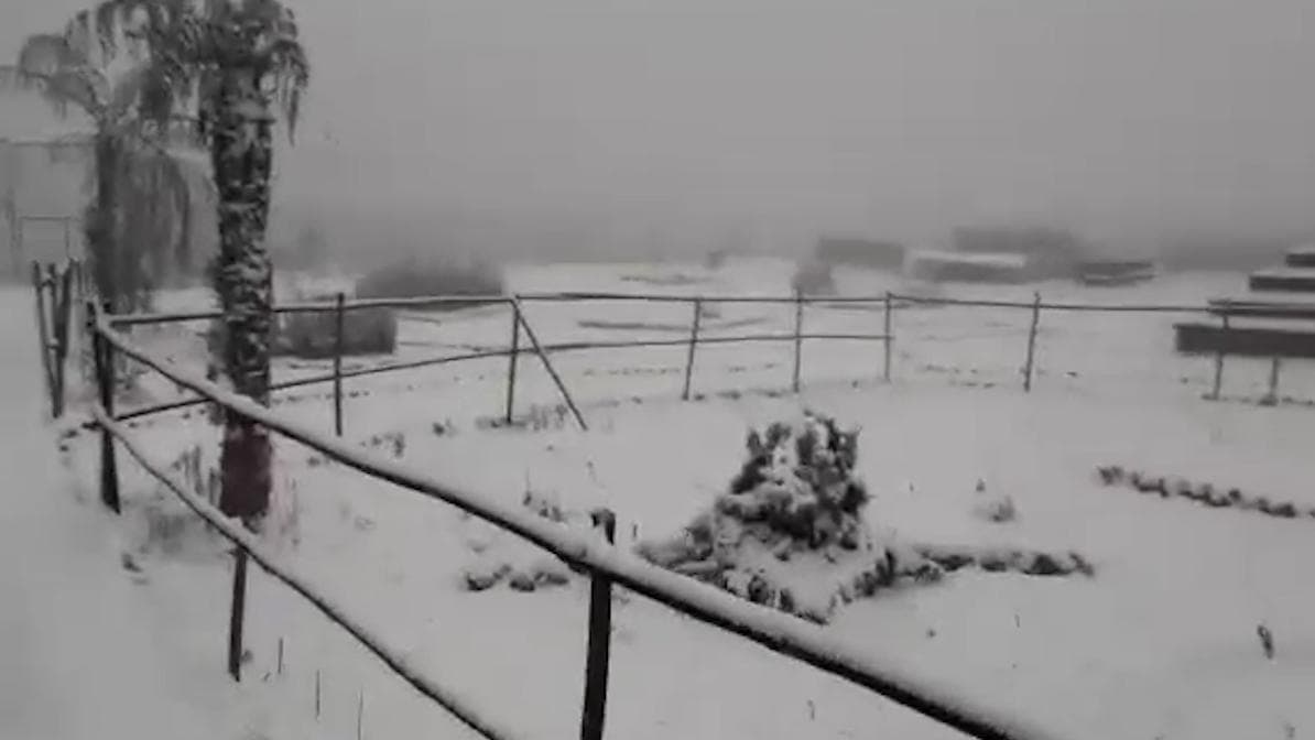 Snowfall in Darjeeling : দার্জিলিঙে প্রবল তুষারপাত, বরফের চাদরে ঢাকল ঘুম, টাইগার হিল