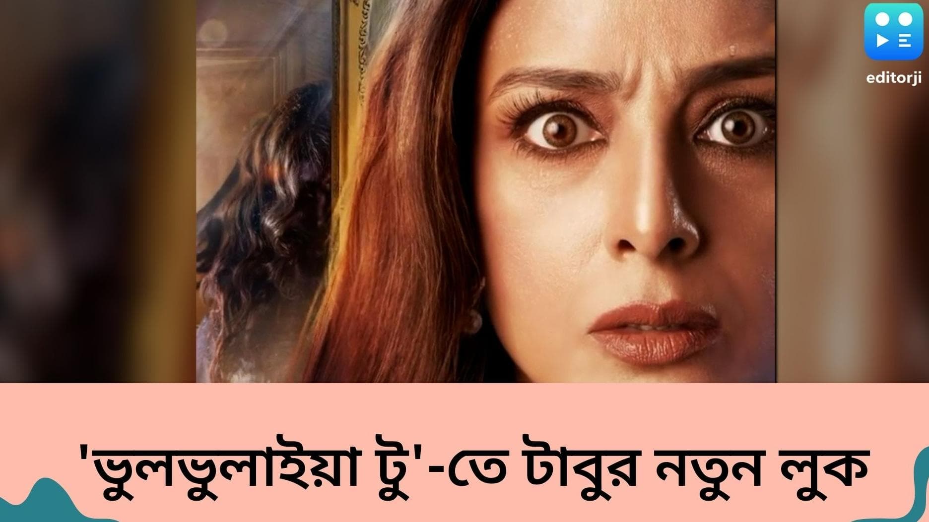 Bhool Bhulaiya 2: প্রকাশ পেল 'ভুলভুলাইয়া ২'-তে টাবু'র চরিত্রের লুক, ছবি দেখে ভয়ে কাঁপুনি নেটিজেনদের