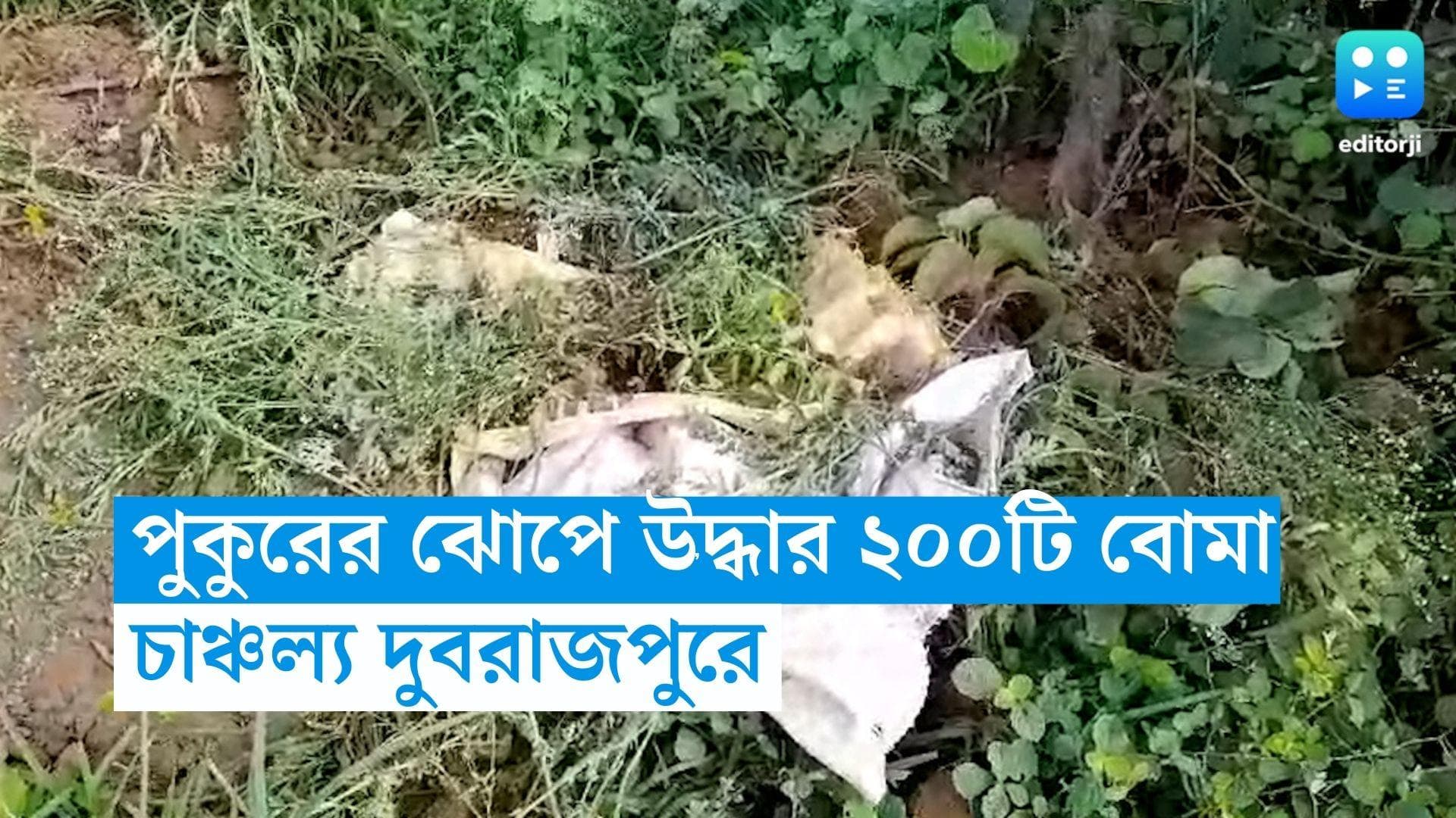 Birbhum Bomb Recover: দুবরাজপুরে পুকুরের ঝোপ থেকে ২০০টি তাজা বোমা উদ্ধার, চাঞ্চল্য এলাকায়