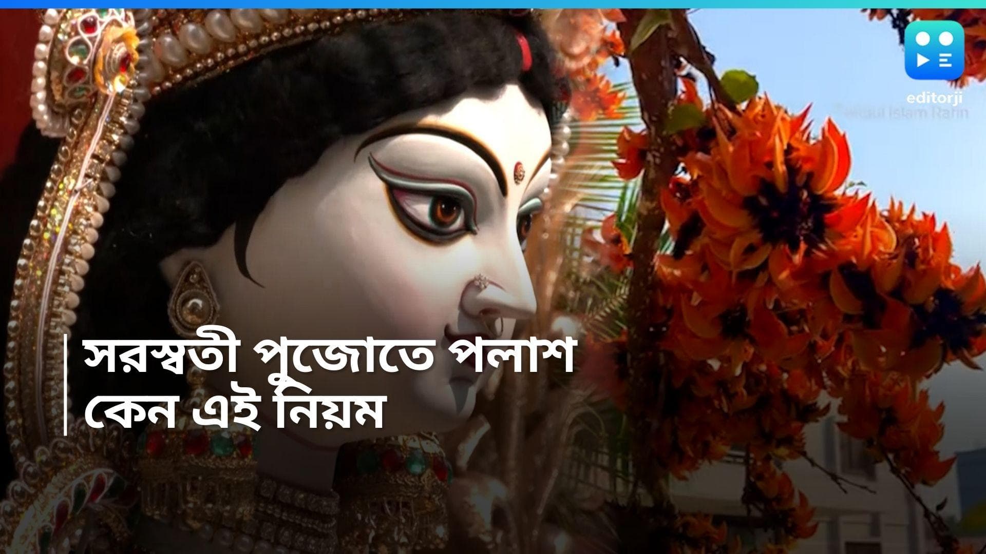 Saraswati Puja: সরস্বতী পদ্মাসনা, অথচ তাঁর পুজোয় রক্ত পলাশ চাই-ই চাই! কেন এমন নিয়ম, জানেন?