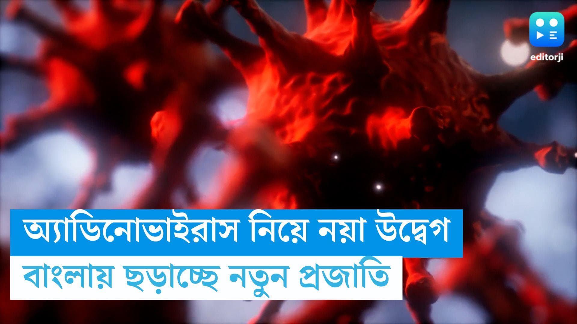 Adenovirus : রাজ্যে দ্রুত ছড়াচ্ছে অ্যাডিনো ভাইরাসের মারণক্ষমতাসম্পন্ন প্রজাতি, বাংলাকে সতর্ক করল কেন্দ্র