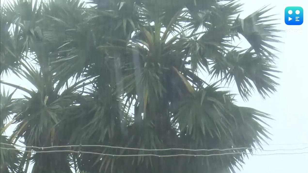 West Bengal Weather update: উত্তরে ঝড়-জল, কলকাতা-সহ দক্ষিণেও বৃষ্টির পূর্বাভাস