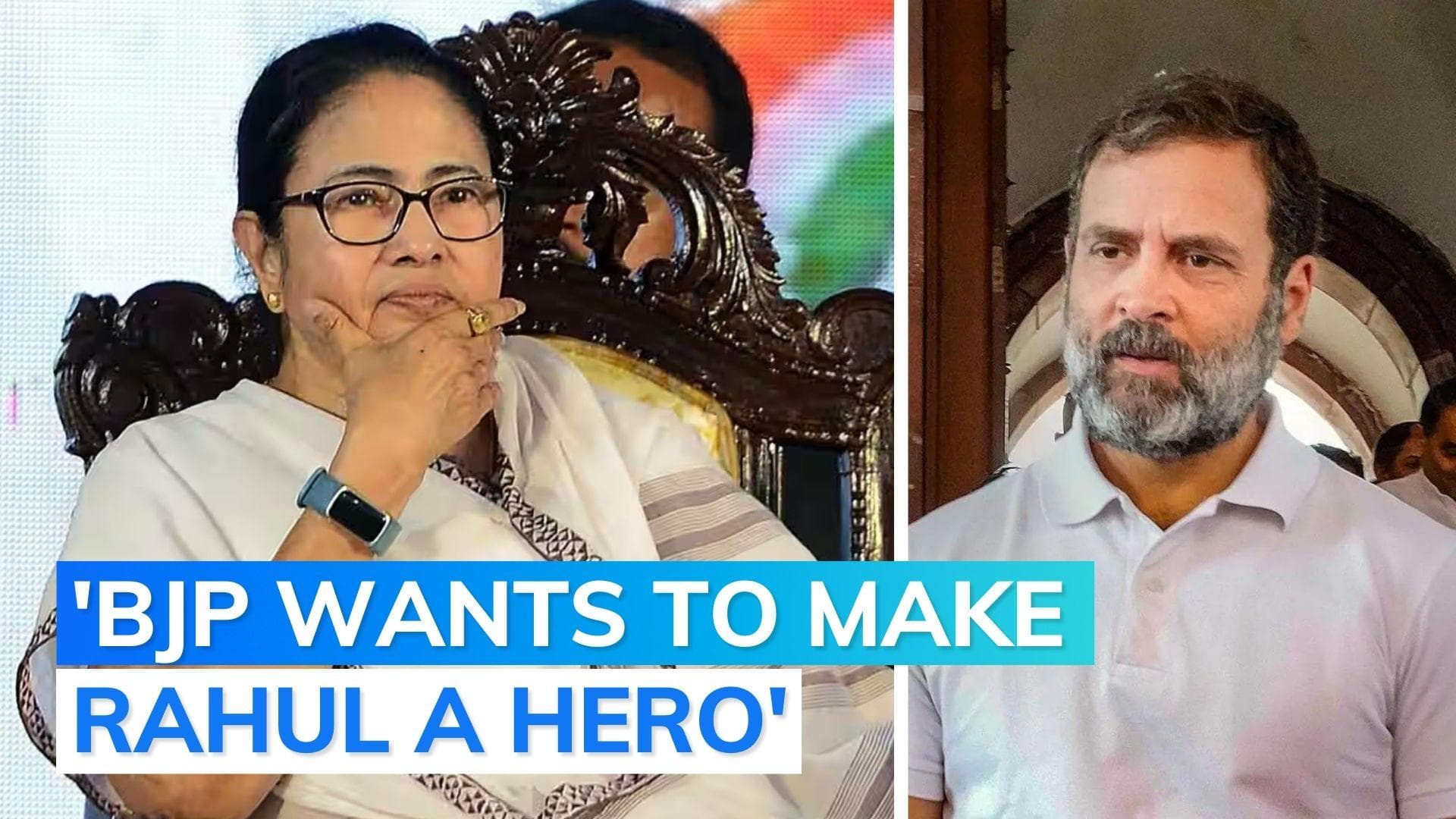 'Rahul is Modi's biggest TRP': Mamata launches attack as 2024 race heats up