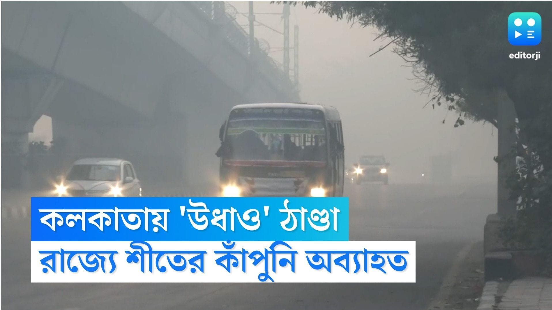 West Bengal Weather Update: 'উধাও' শীত, কলকাতায় বাড়ছে তাপমাত্রা, রাজ্যে আরও কিছুদিন জাঁকিয়ে শীতের আমেজ