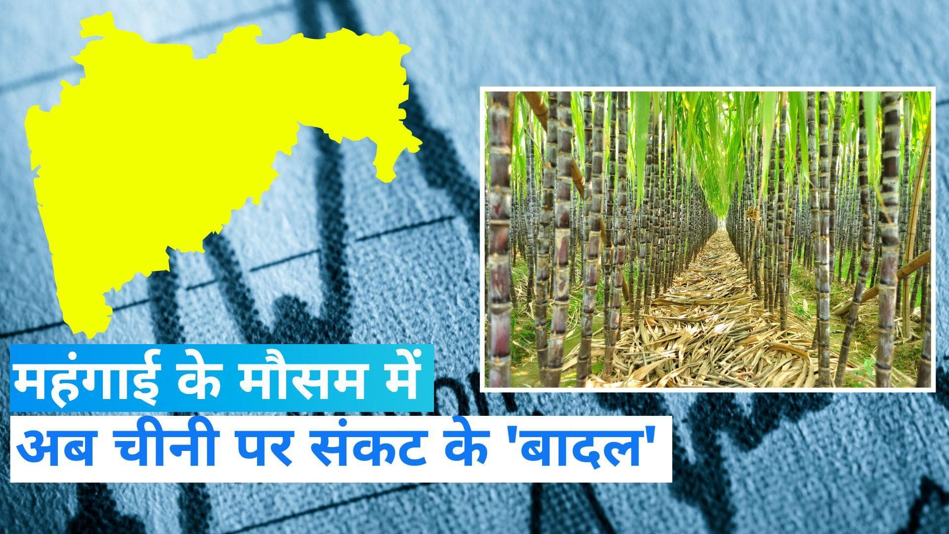 Sugar Rates: अब चीनी की मिठास होगी कड़वी! बारिश ने बढ़ाया डर... मिलें वक्त से पहले होंगी बंद