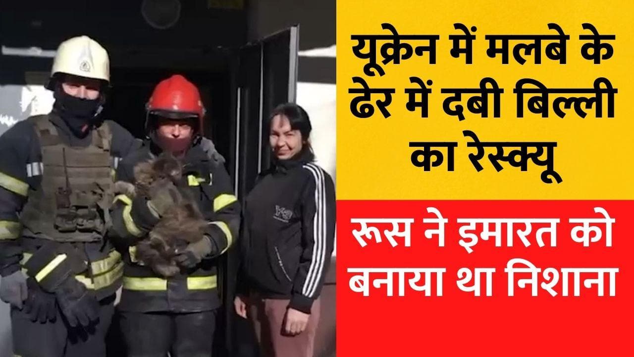 Russia Ukraine War:  यूक्रेन इमरजेंसी सर्विस ने मलबे में दबी बिल्ली का किया रेस्क्यू, देखें VIDEO