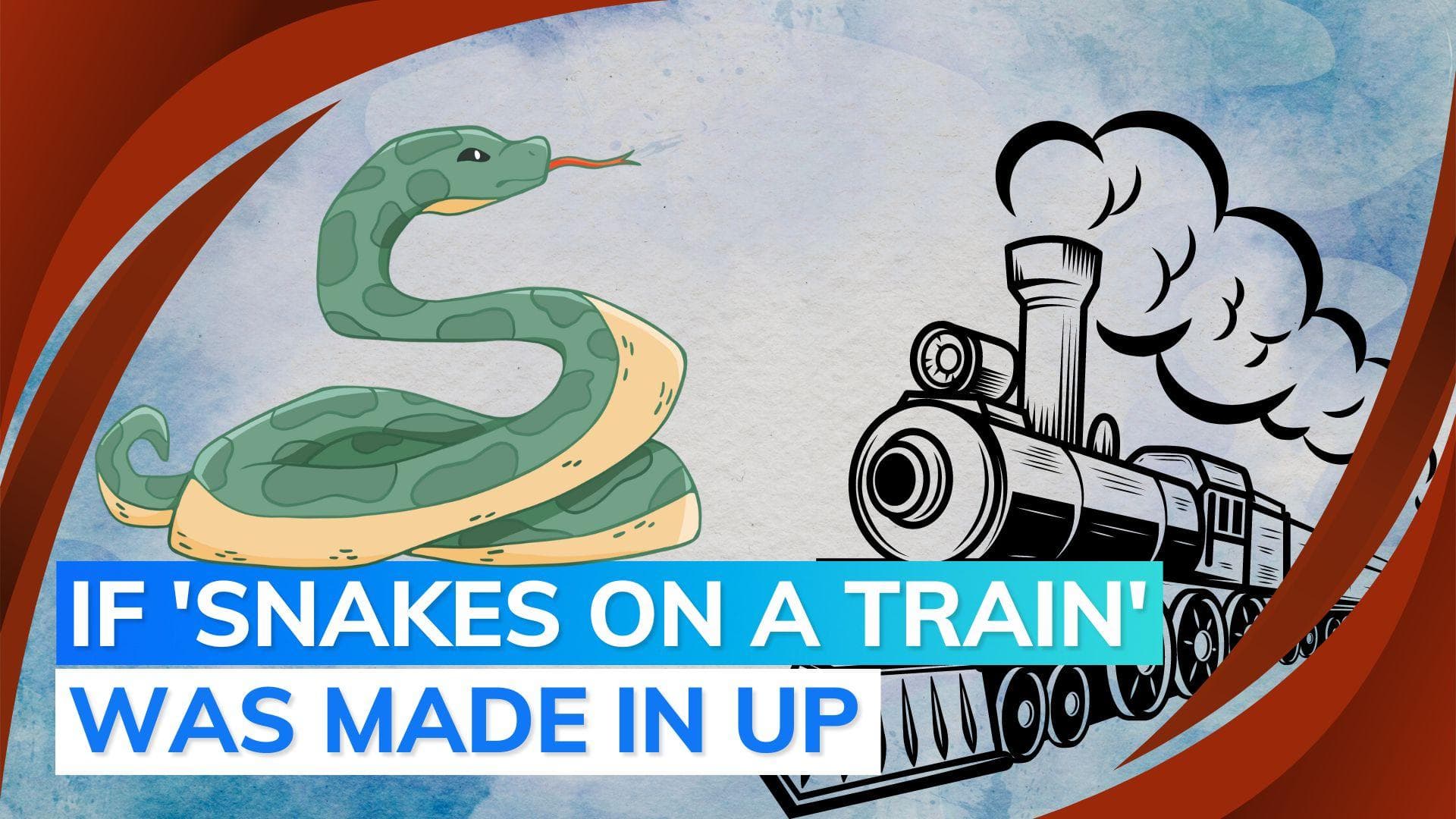 Angry snake charmers release snakes in train compartment
