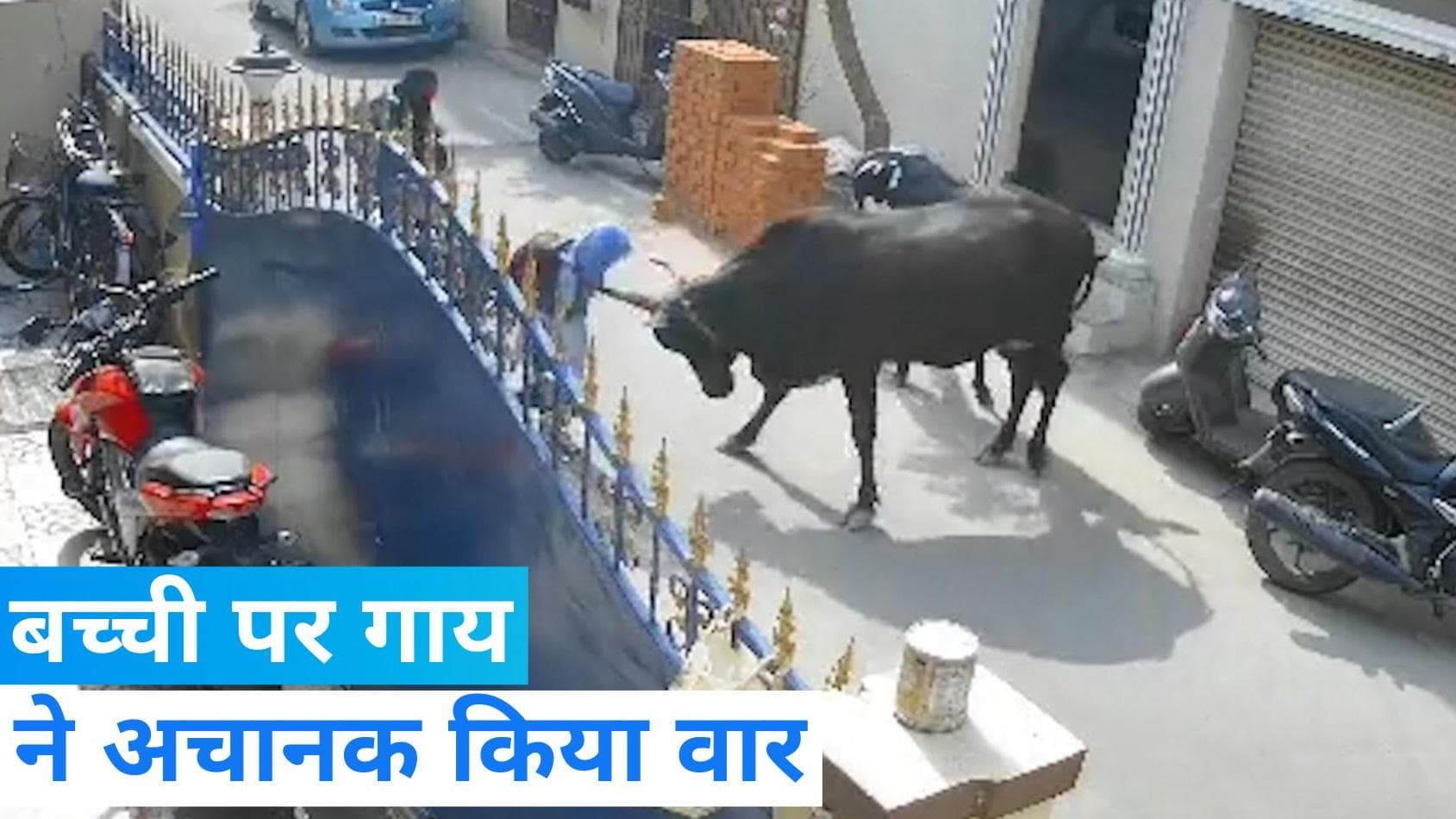  Viral video: चेन्नई में स्कूली छात्रा पर गाय ने किया हमला, कई बार कुचला- देखिए 