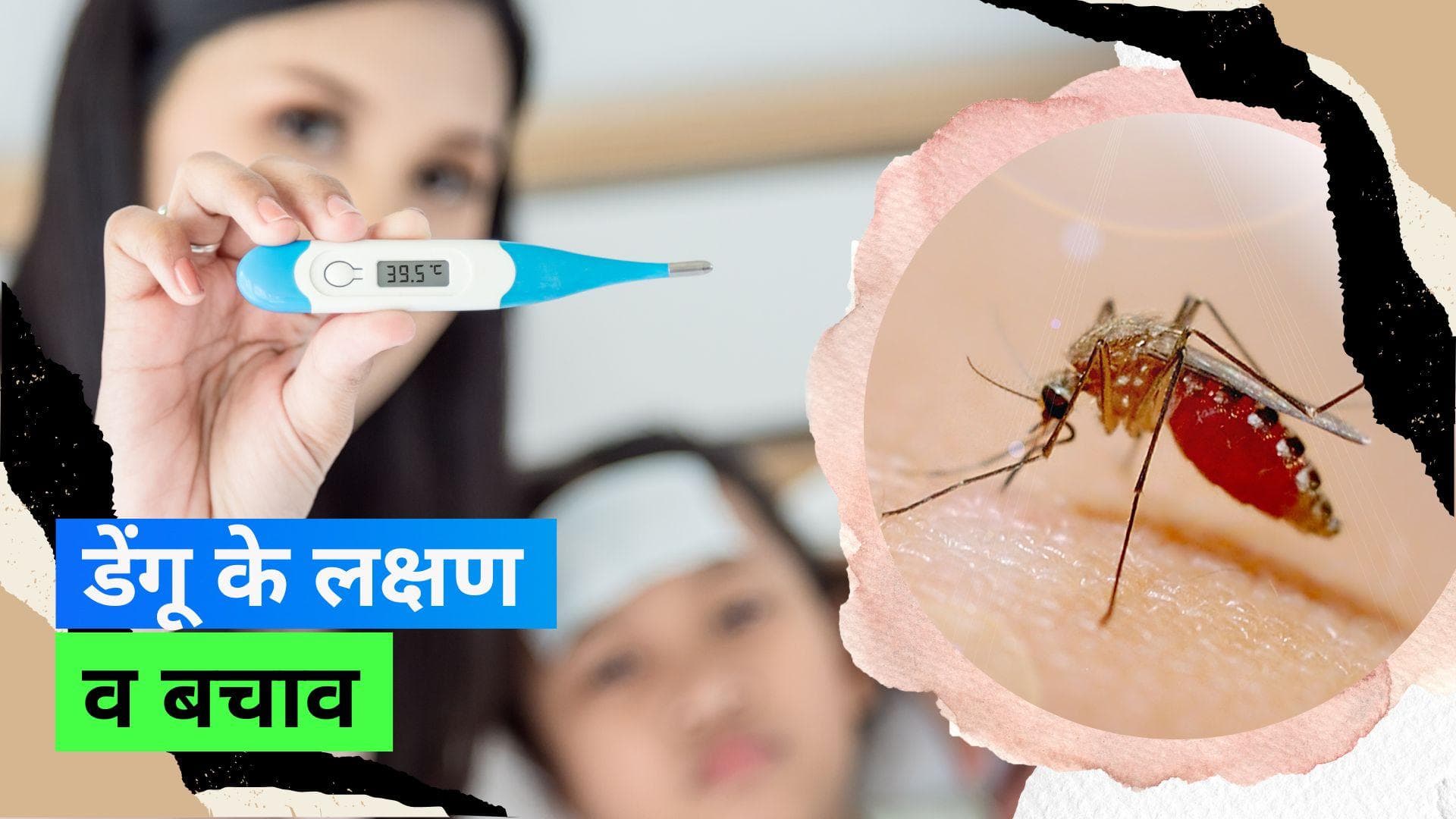 National Dengue Day 2023: राष्ट्रीय डेंगू दिवस पर जानिए गंभीर डेंगू के लक्षण और बचाव