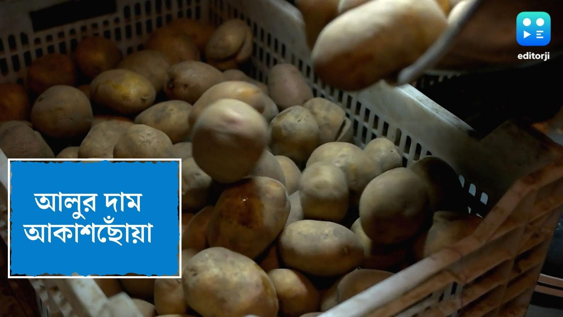Bengal Potato price hike : আলুসেদ্ধ-ভাতও বিলাসিতা ! আকাশছোঁয়া আলুর দাম, কপালে চিন্তার ভাঁজ মধ্যবিত্তদের