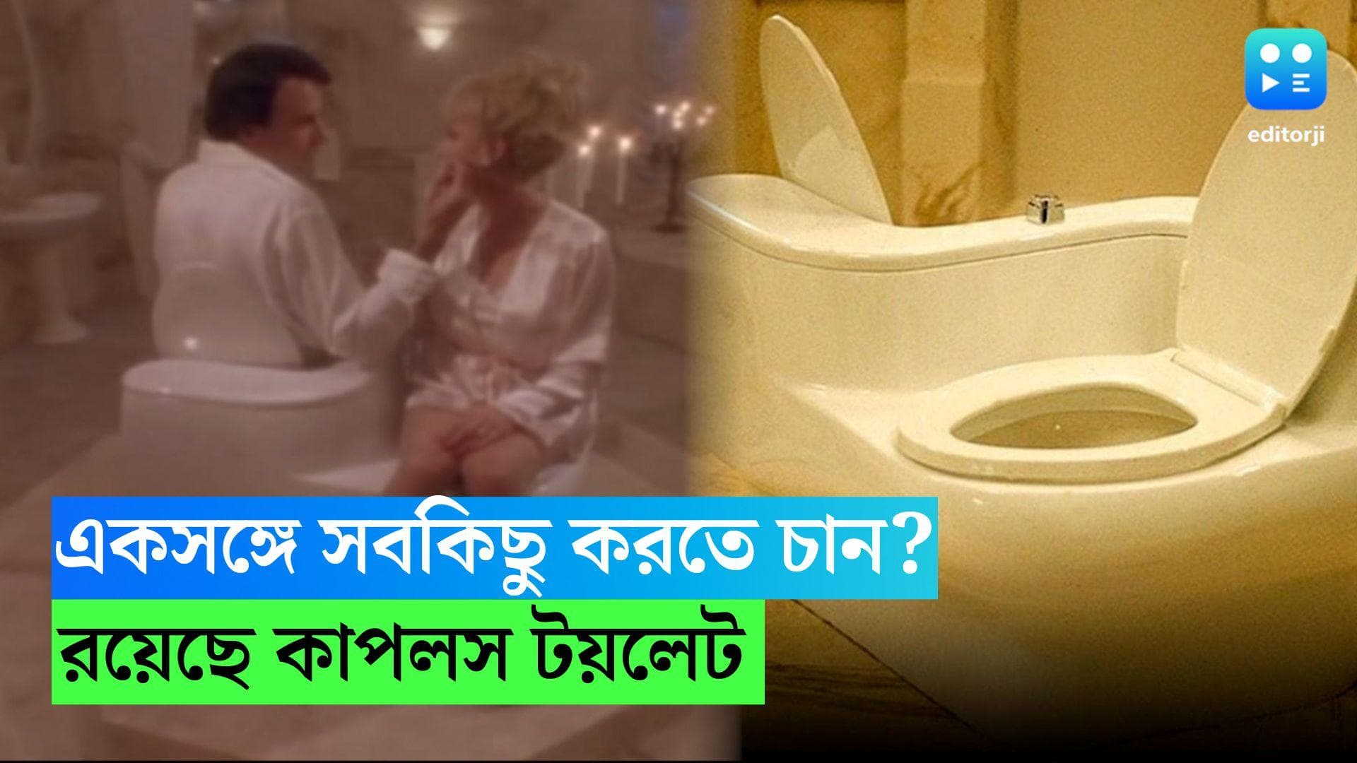The couples toilet: একসঙ্গে সবকিছুই করতে চান যে দম্পতিরা, তাঁদের জন্য 'কাপলস টয়লেট', জানুন মজার ইতিহাস