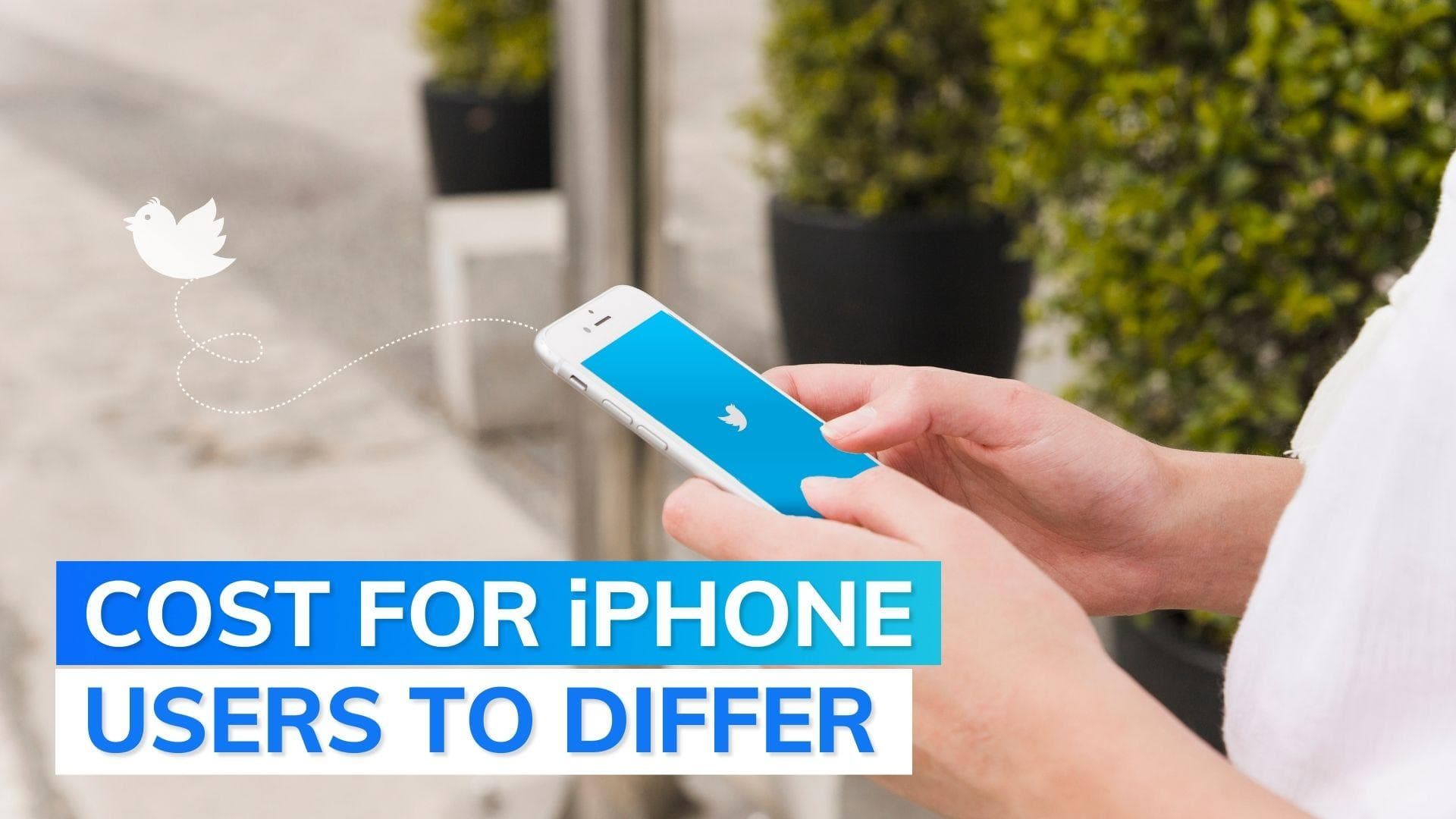 After debacle, Twitter subscription service to be relaunched from this day