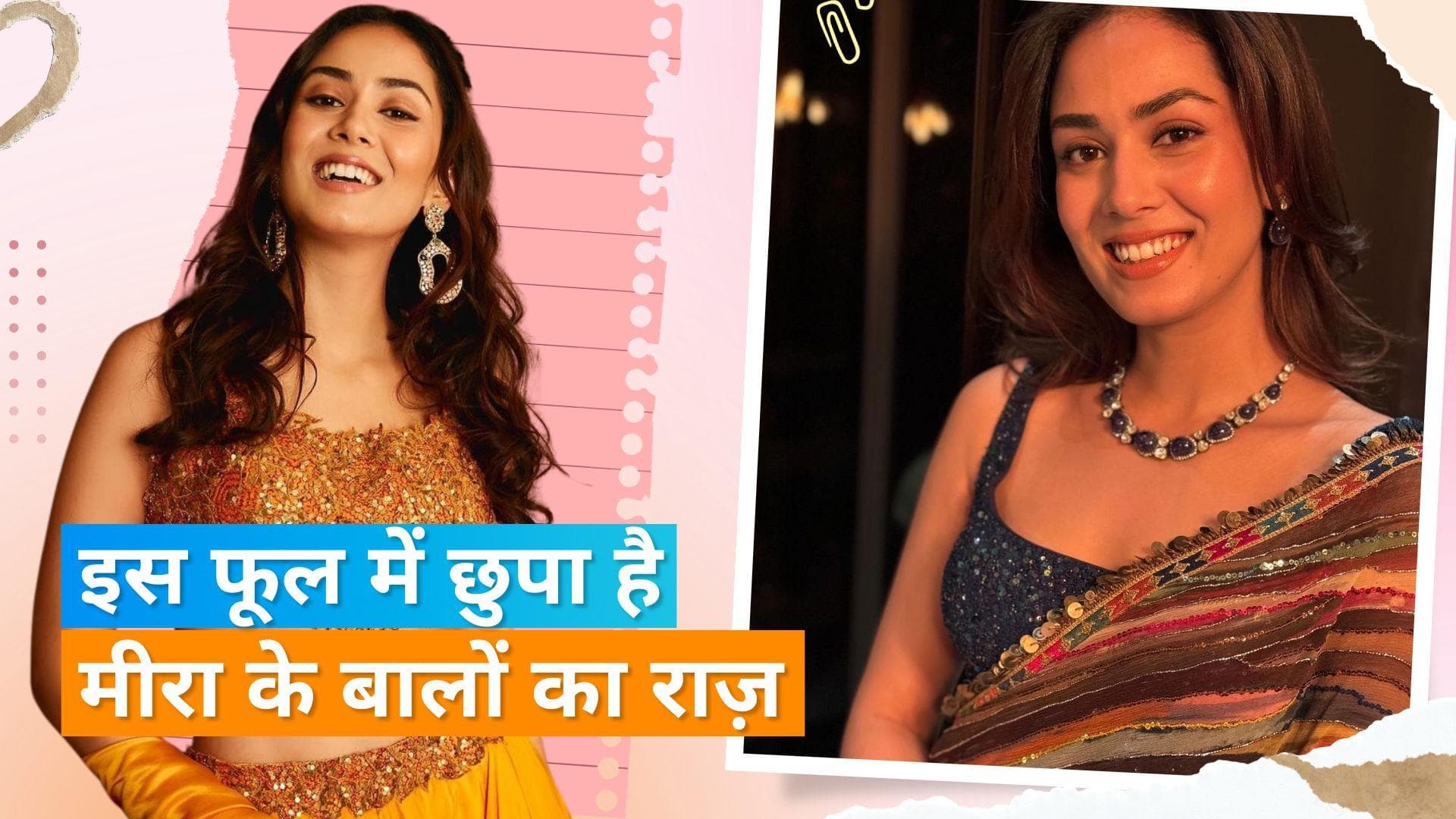 Mira Rajput's DIY Oil: बालों को लंबा और घना बनाने के लिए ट्राई करें मीरा राजपूत का बताया ये नुस्खा